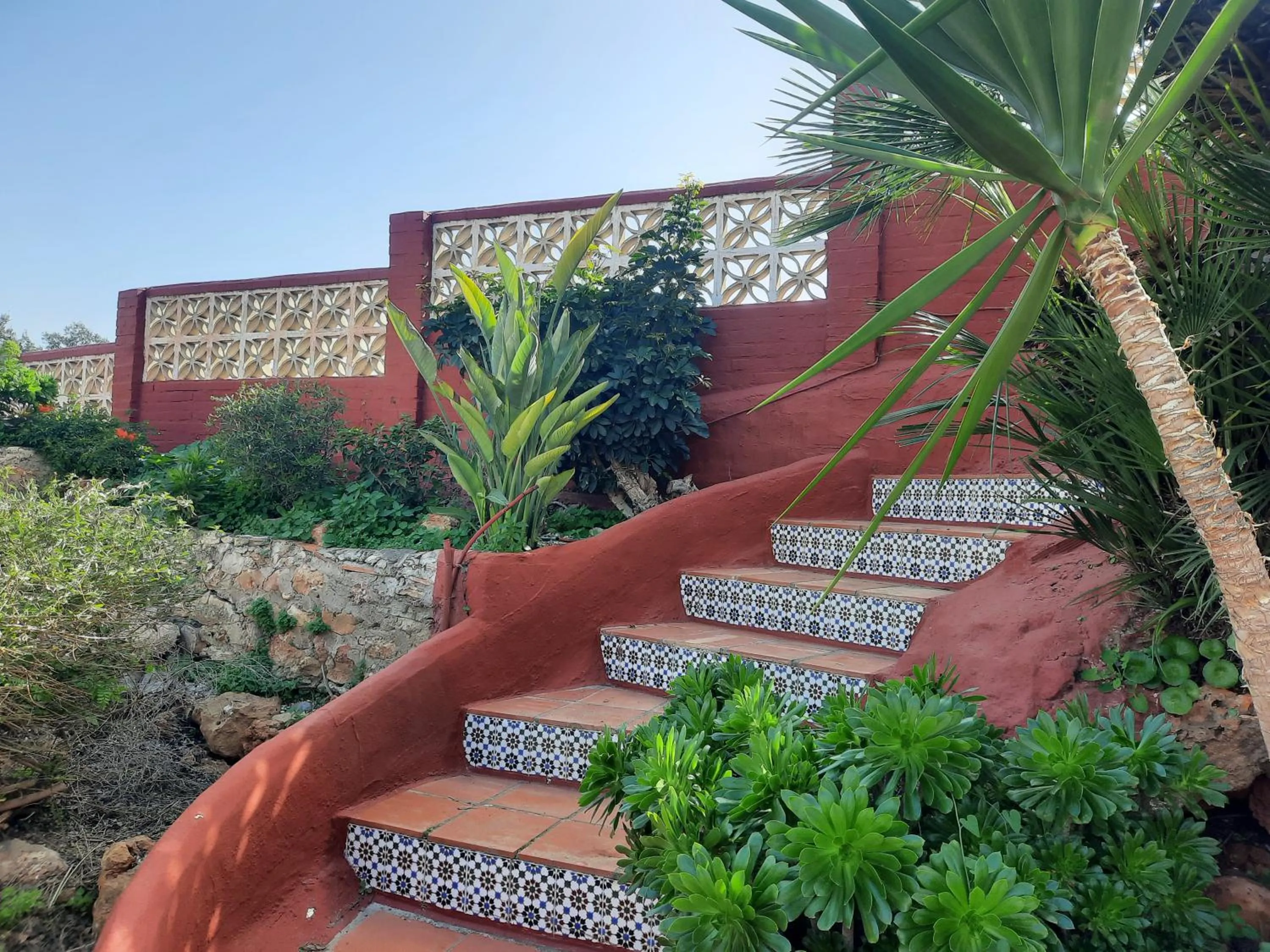 Garden in Finca Sueño de Vida