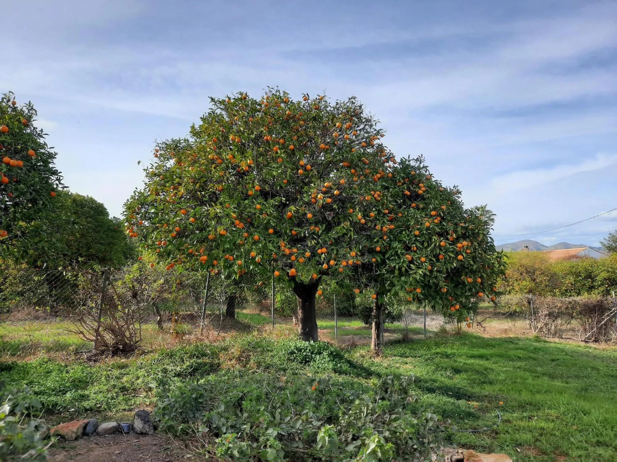 Natural landscape in Finca Sueño de Vida
