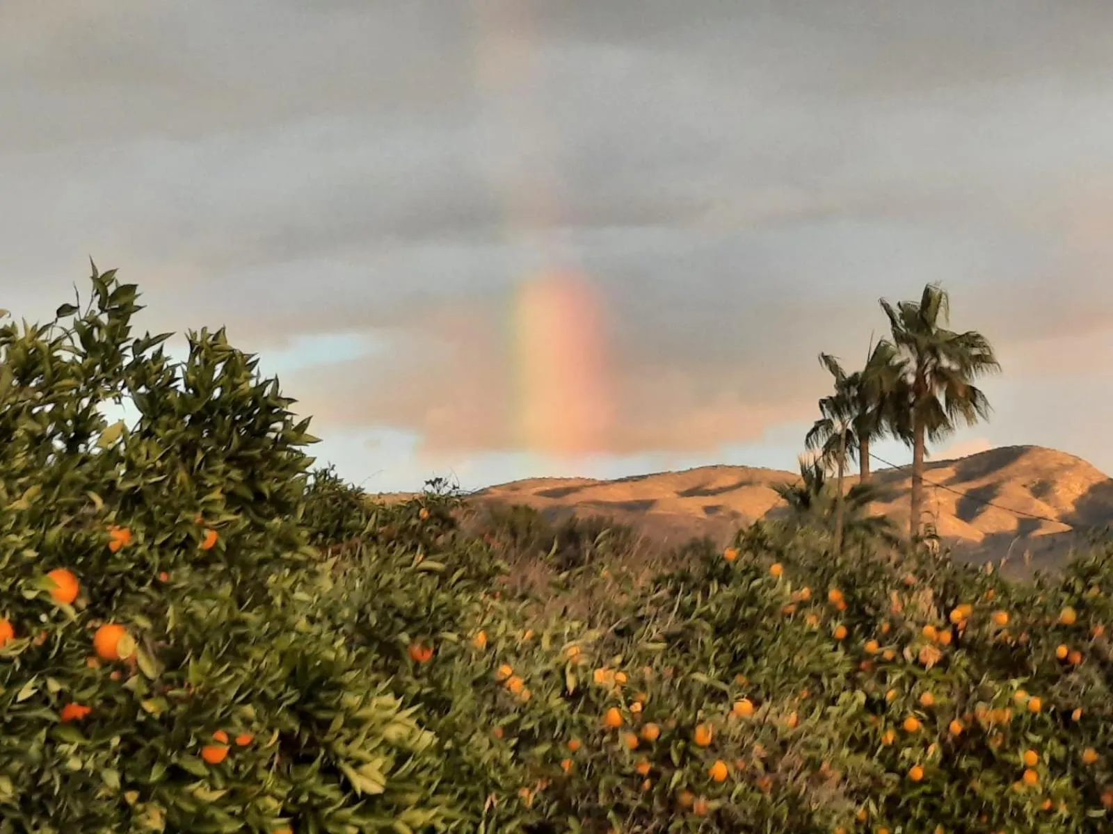 Natural landscape in Finca Sueño de Vida