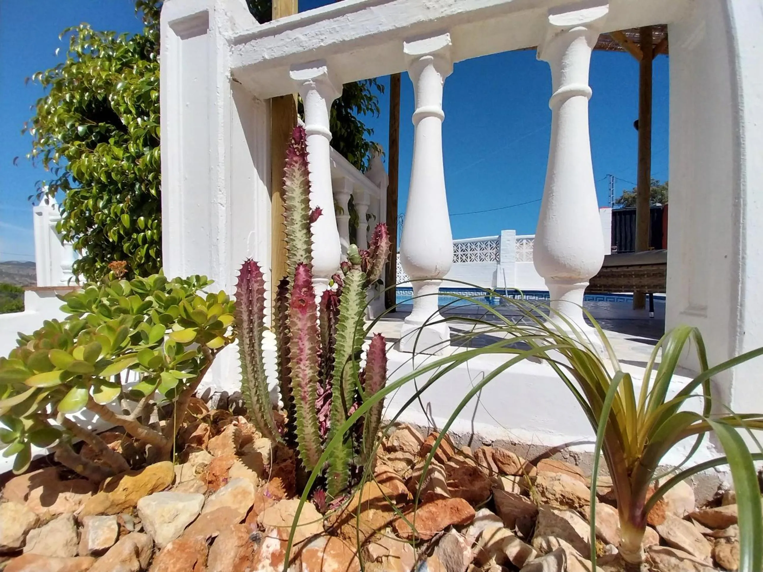 Finca Sueño de Vida