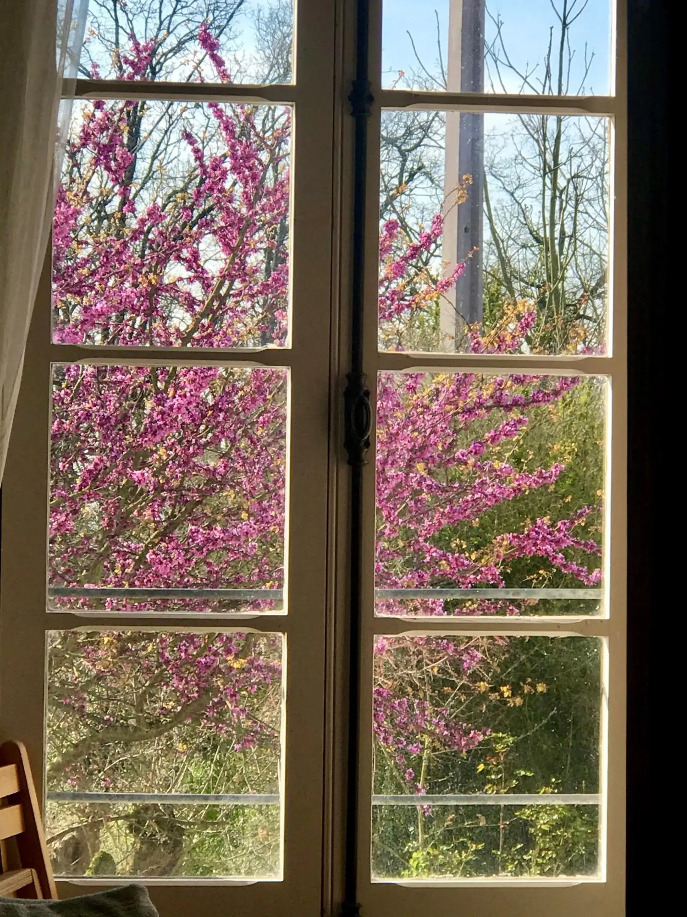 Deluxe Double Room - single occupancy in Le Bouyssou Deluxe Double Room - single occupancy in Le Bouyssou