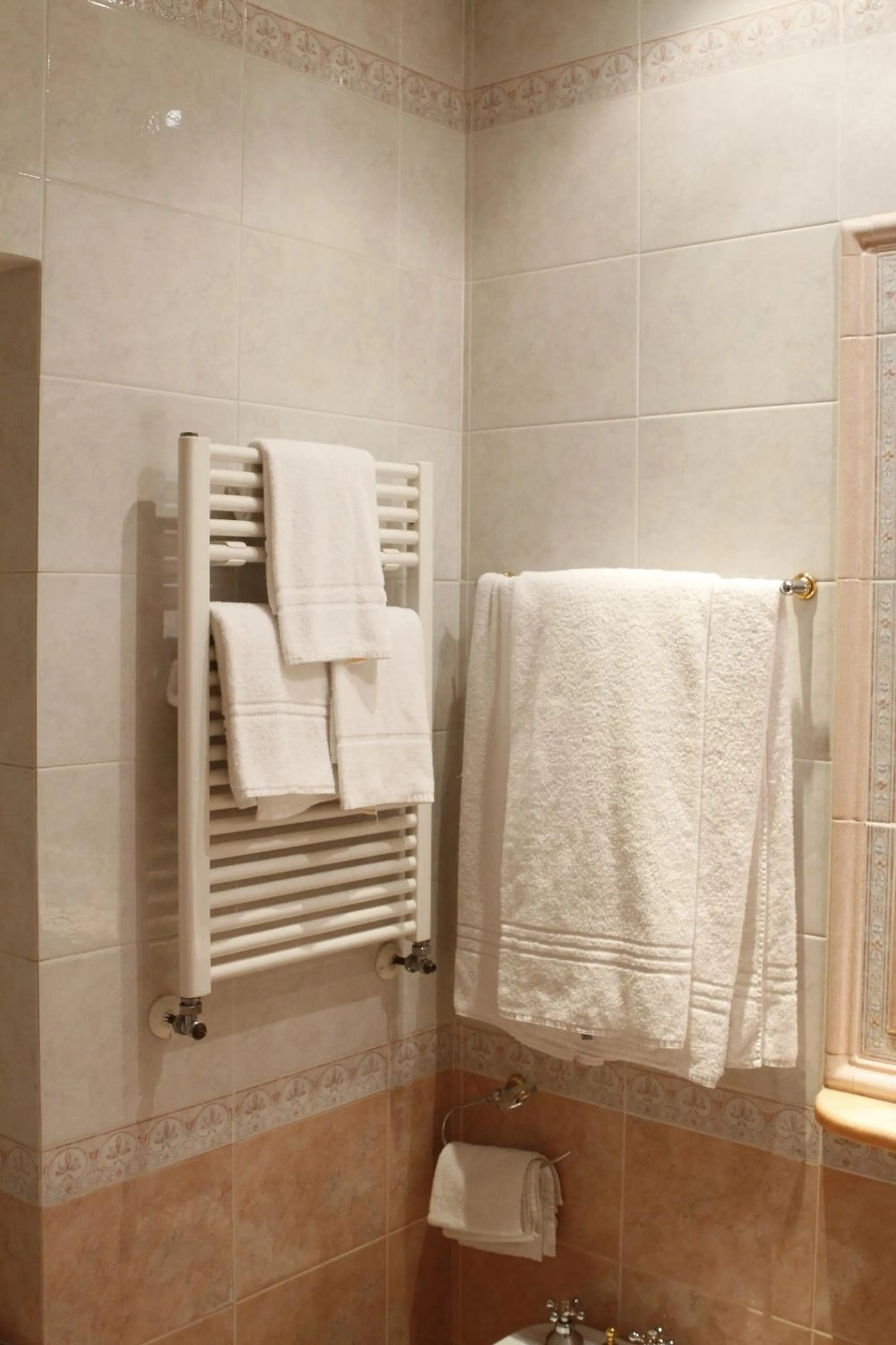 Bathroom in Hotel Pace Helvezia