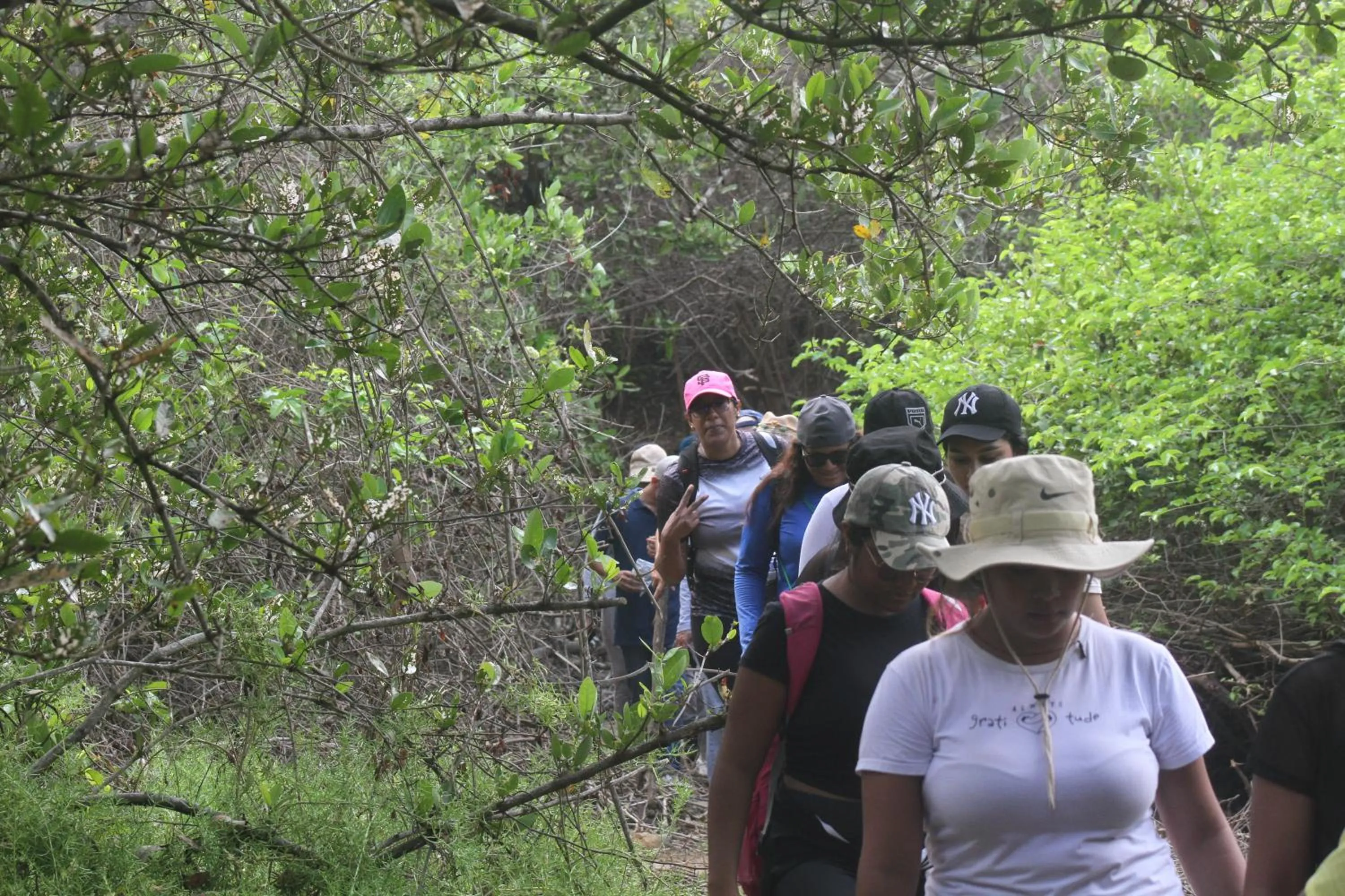 Natural landscape in Hostal Campomar