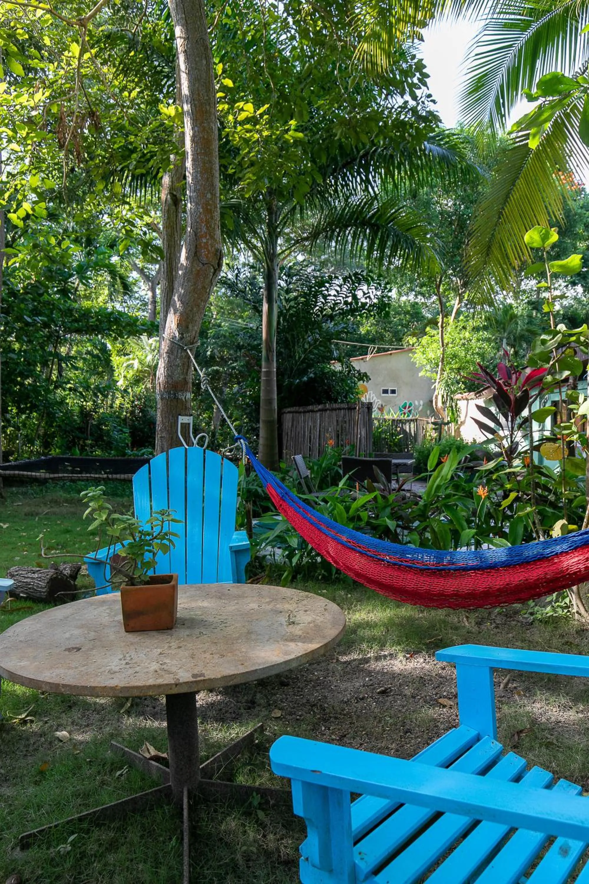 Garden in Hostal Campomar