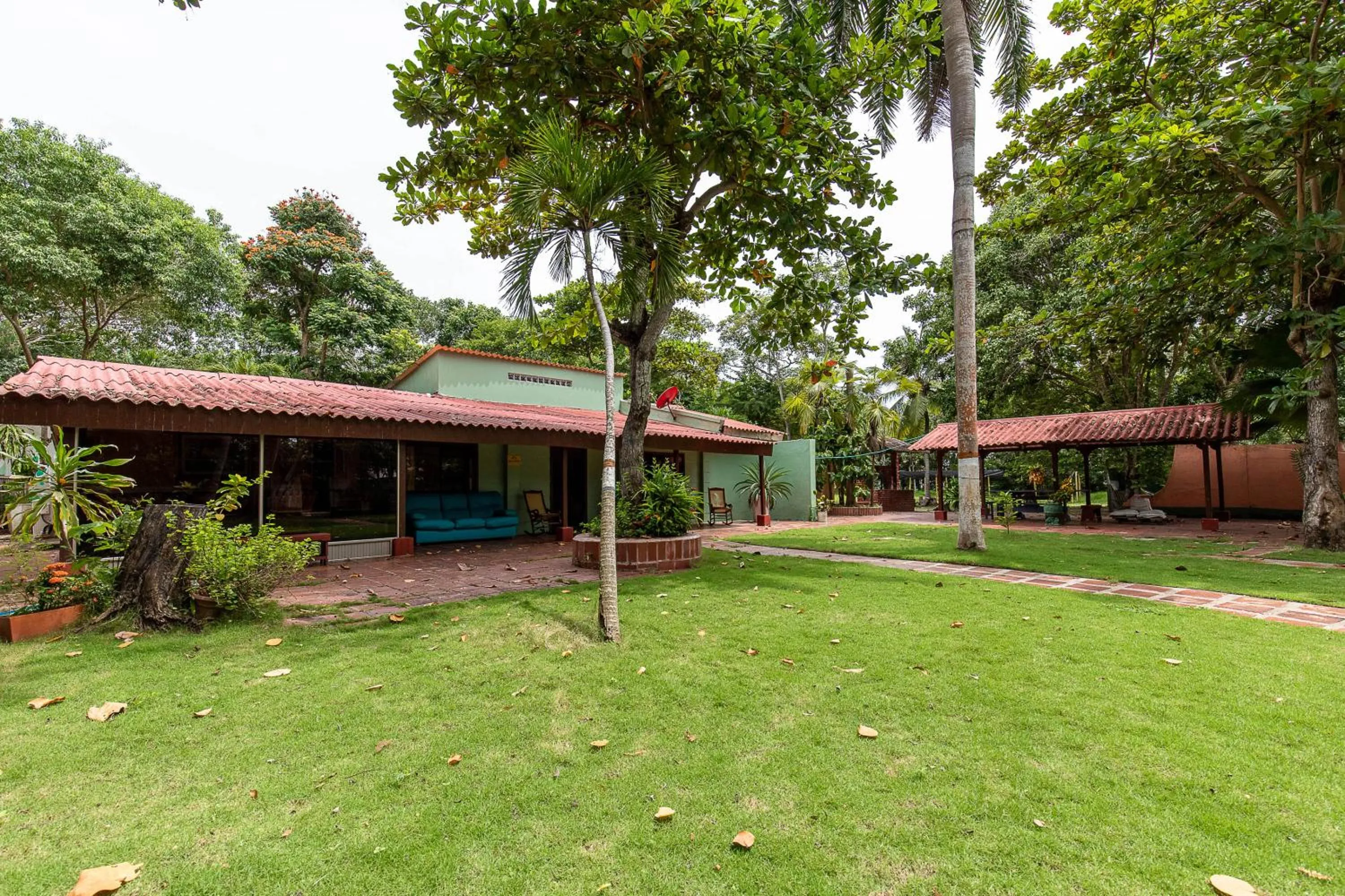 Garden in Hostal Campomar