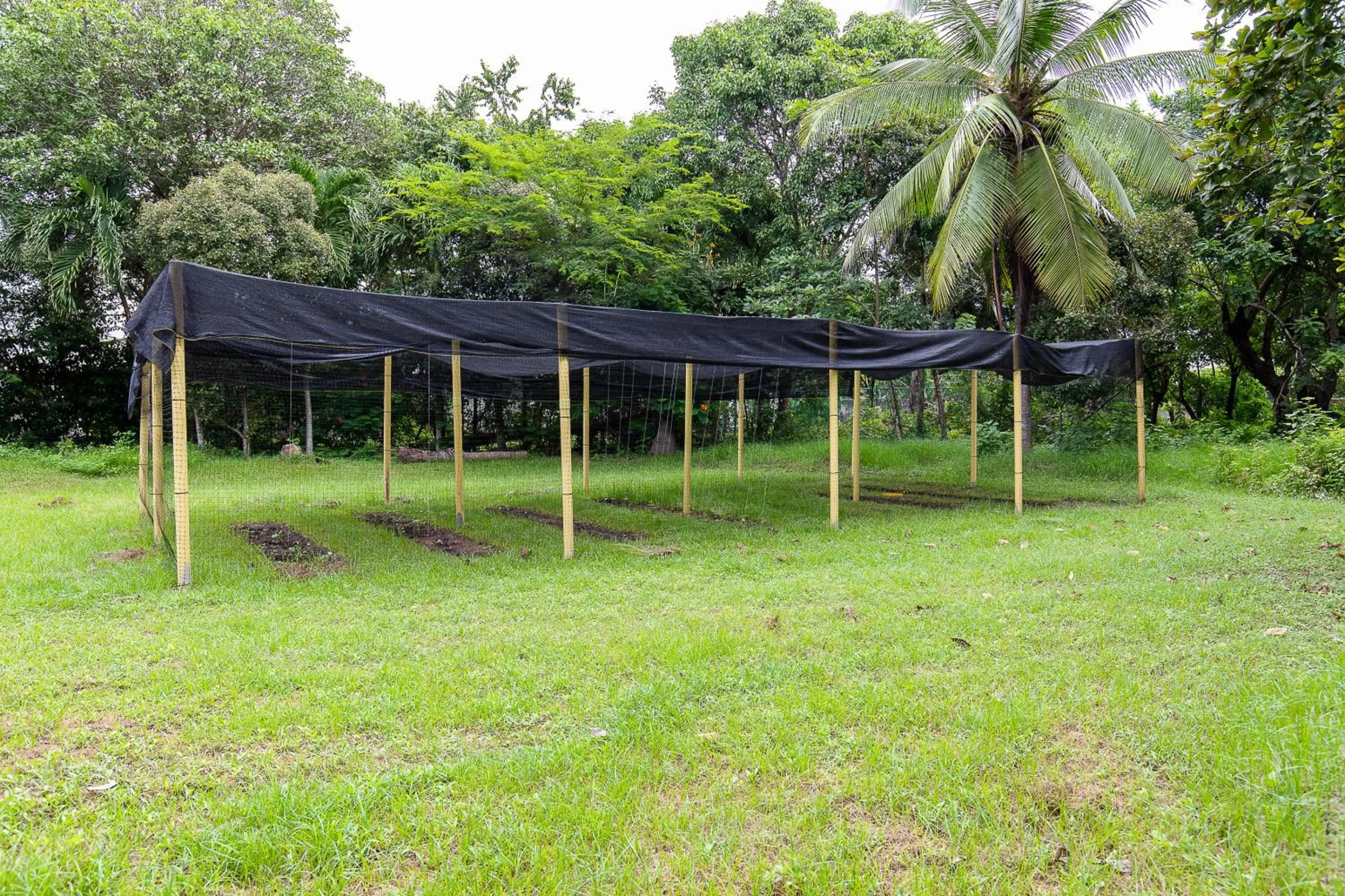 Garden in Hostal Campomar