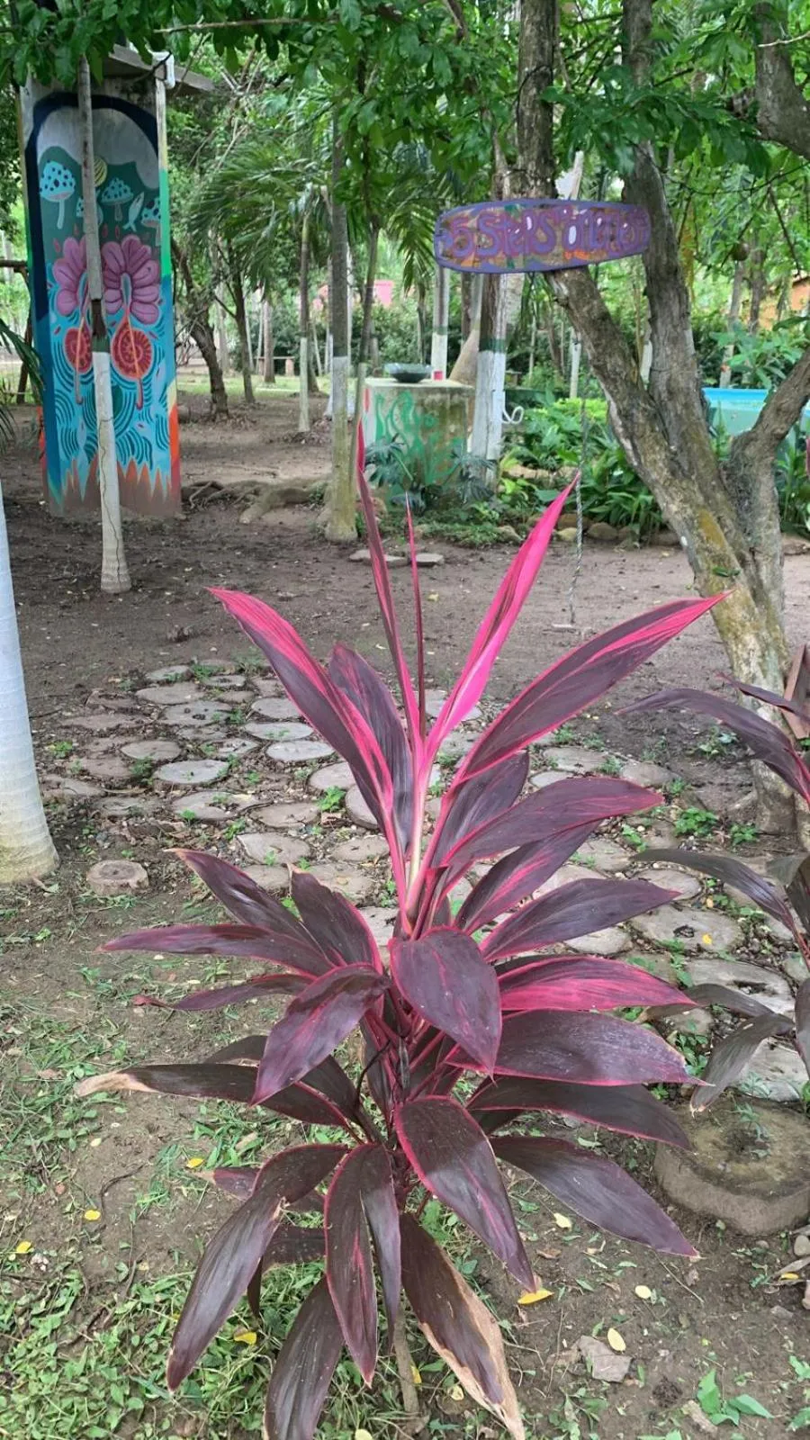 Garden in Hostal Campomar