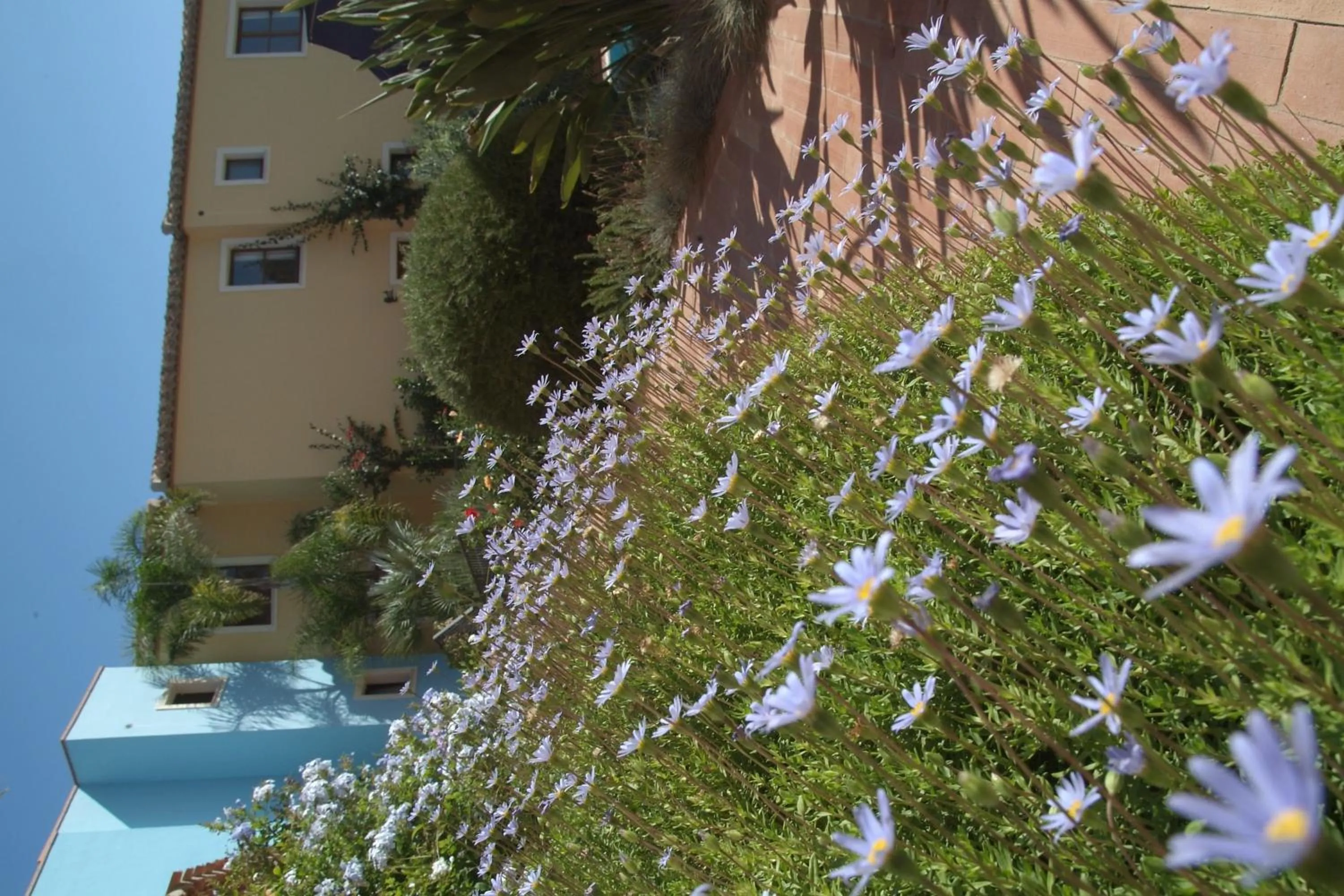 Decorative detail in Borgo Degli Ulivi