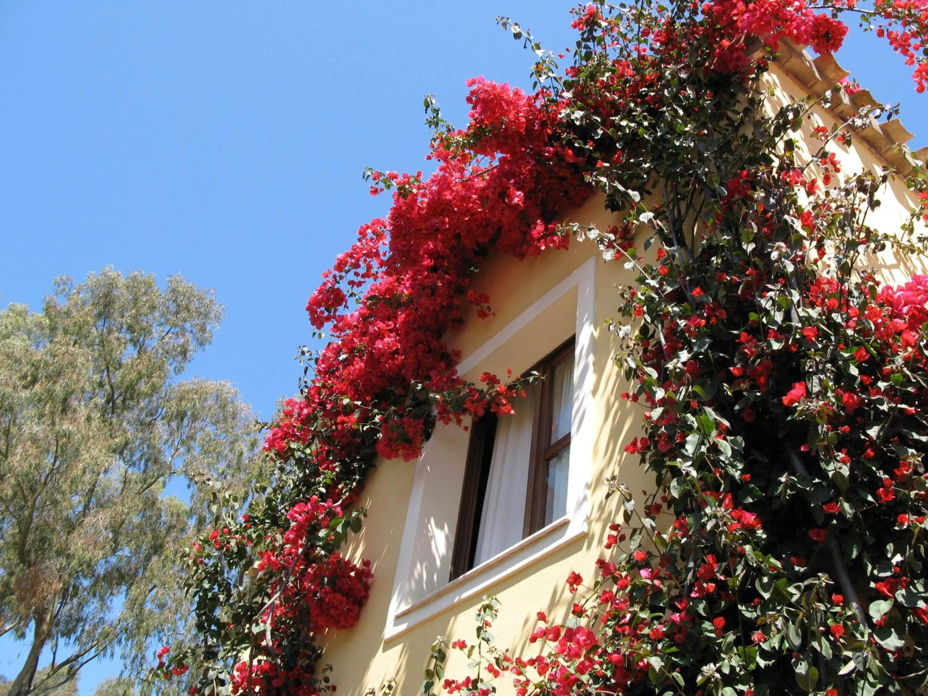 Property building in Borgo Degli Ulivi