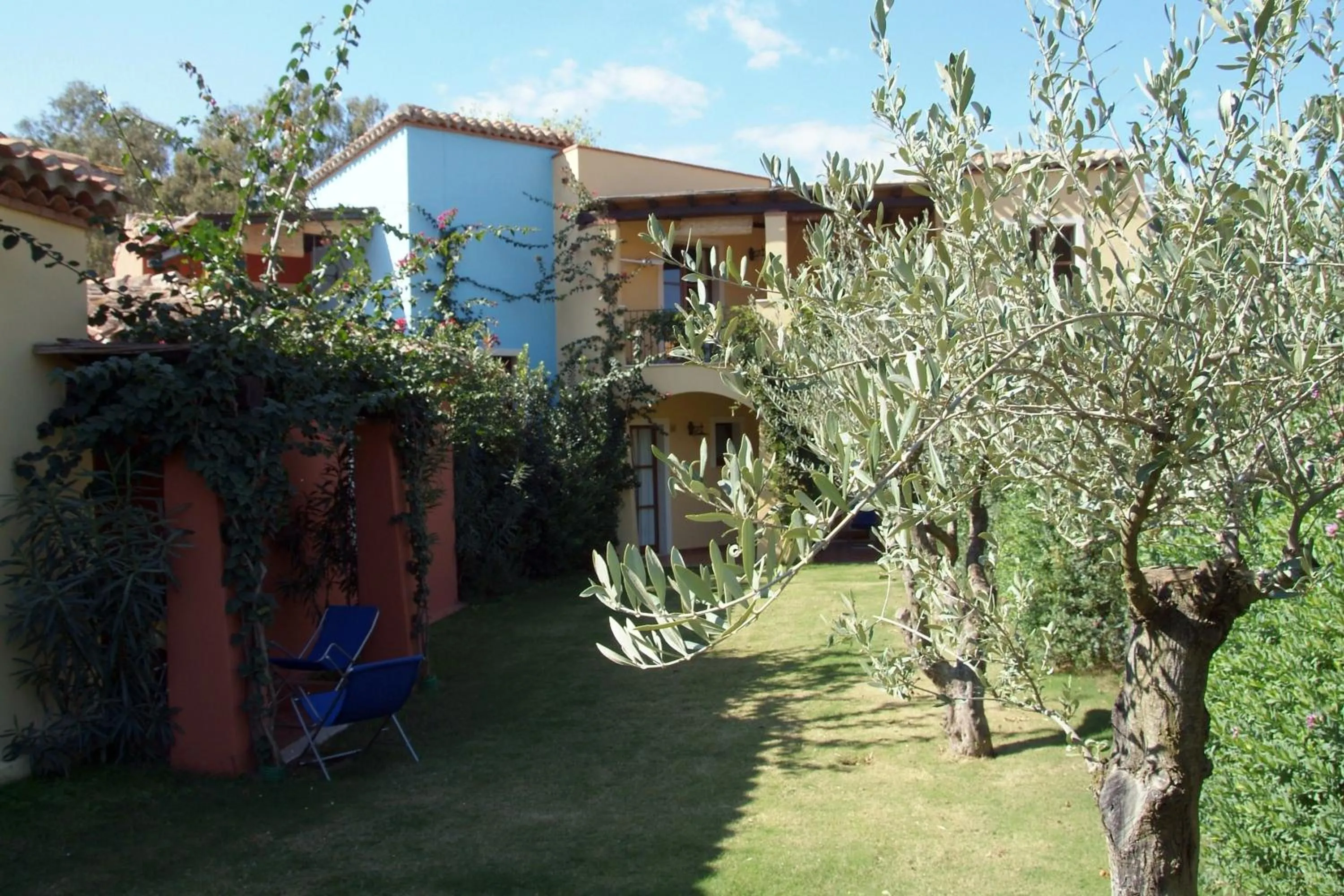 Garden in Borgo Degli Ulivi