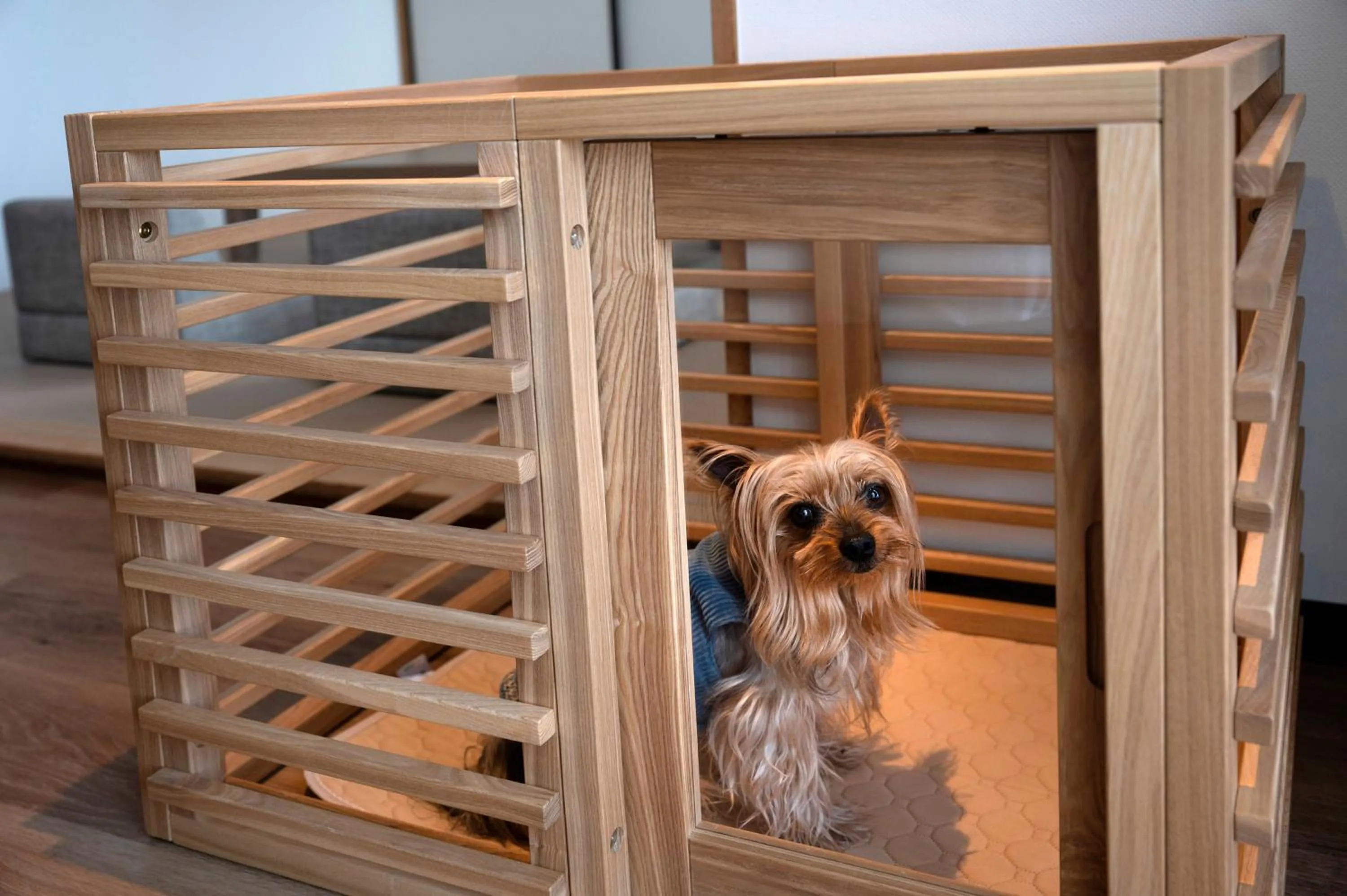 Pets in Atagawa Ocean Resort