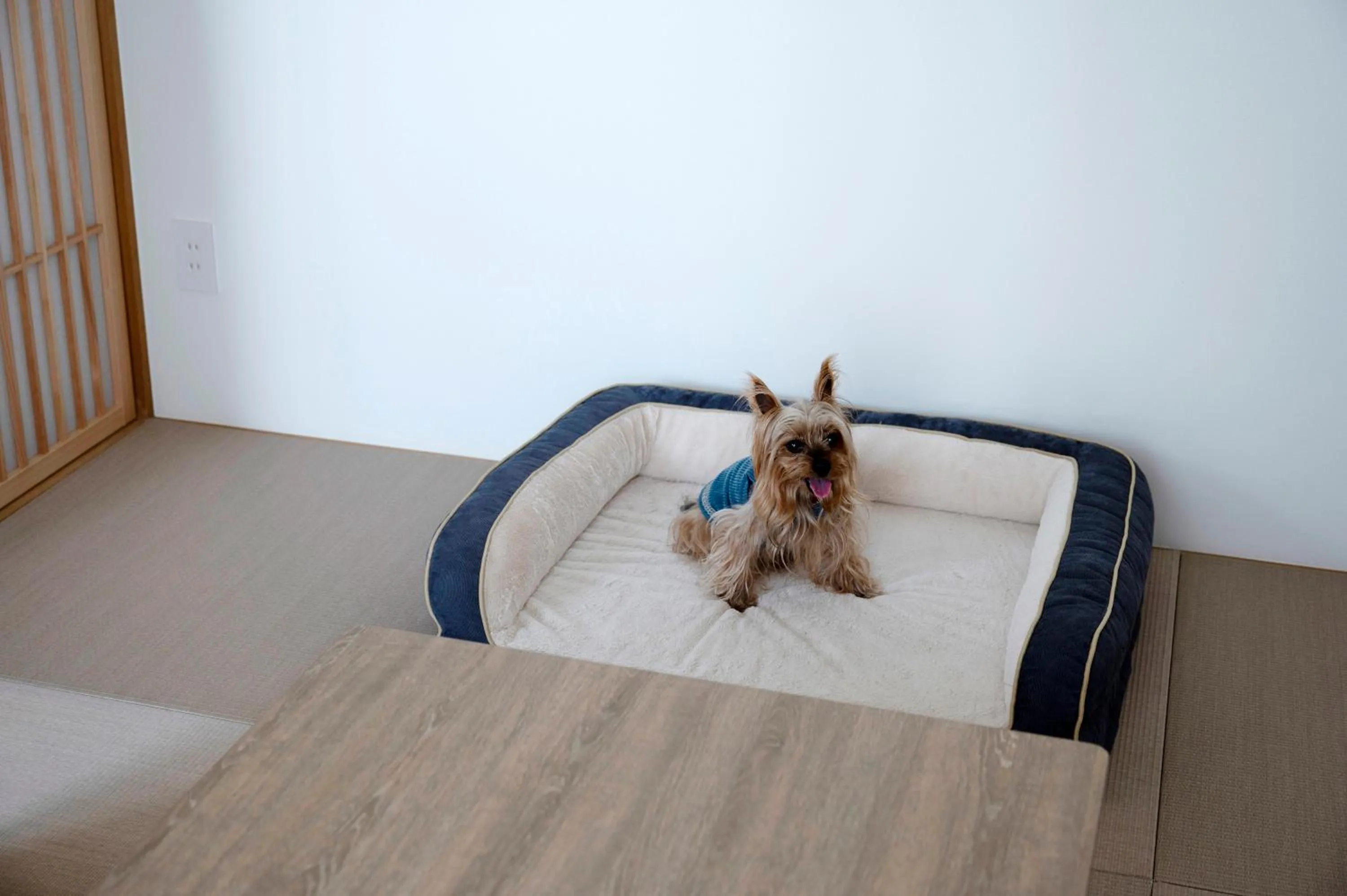 Pets in Atagawa Ocean Resort