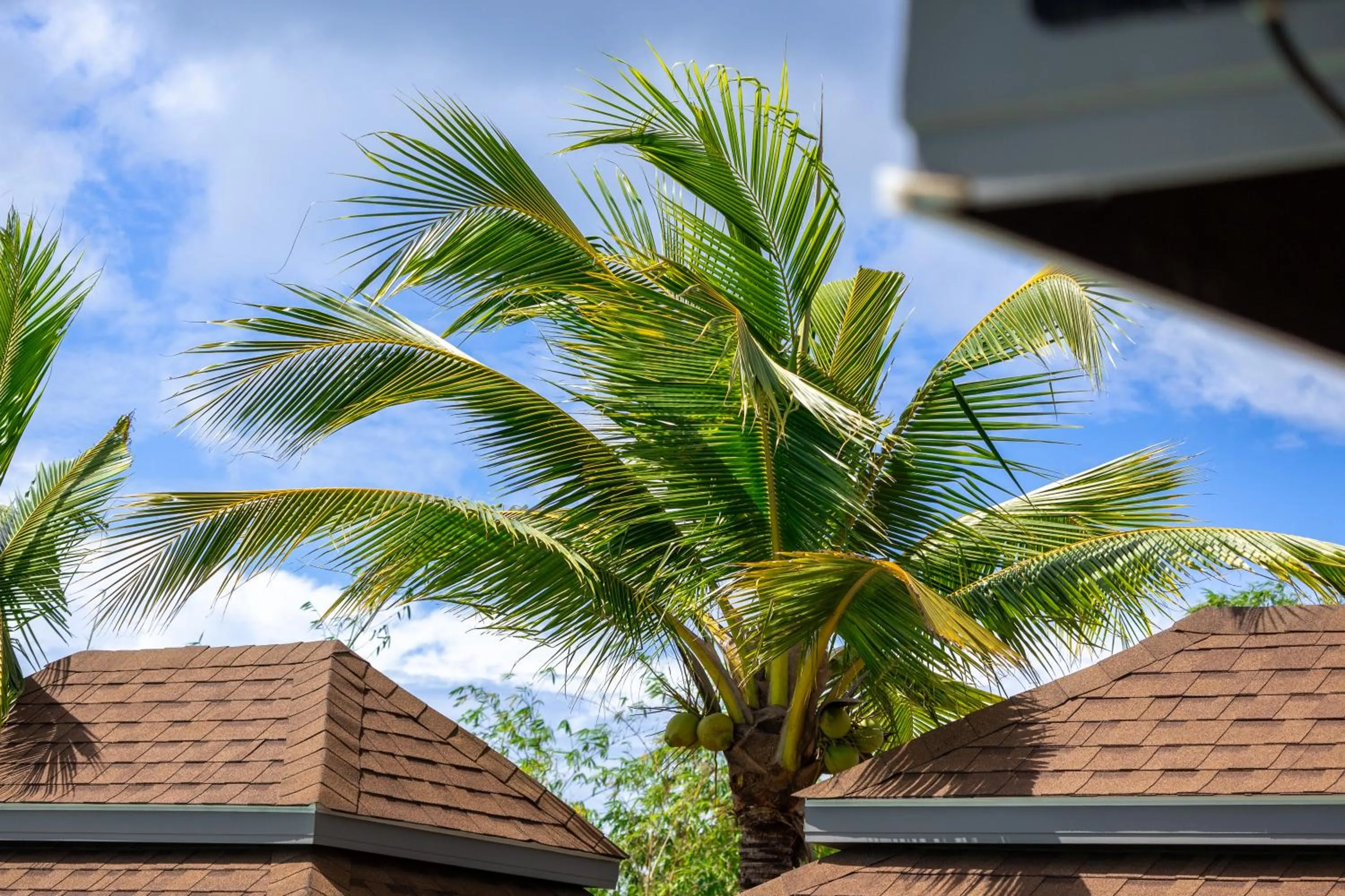 Day in Hideaway Resort Banchang