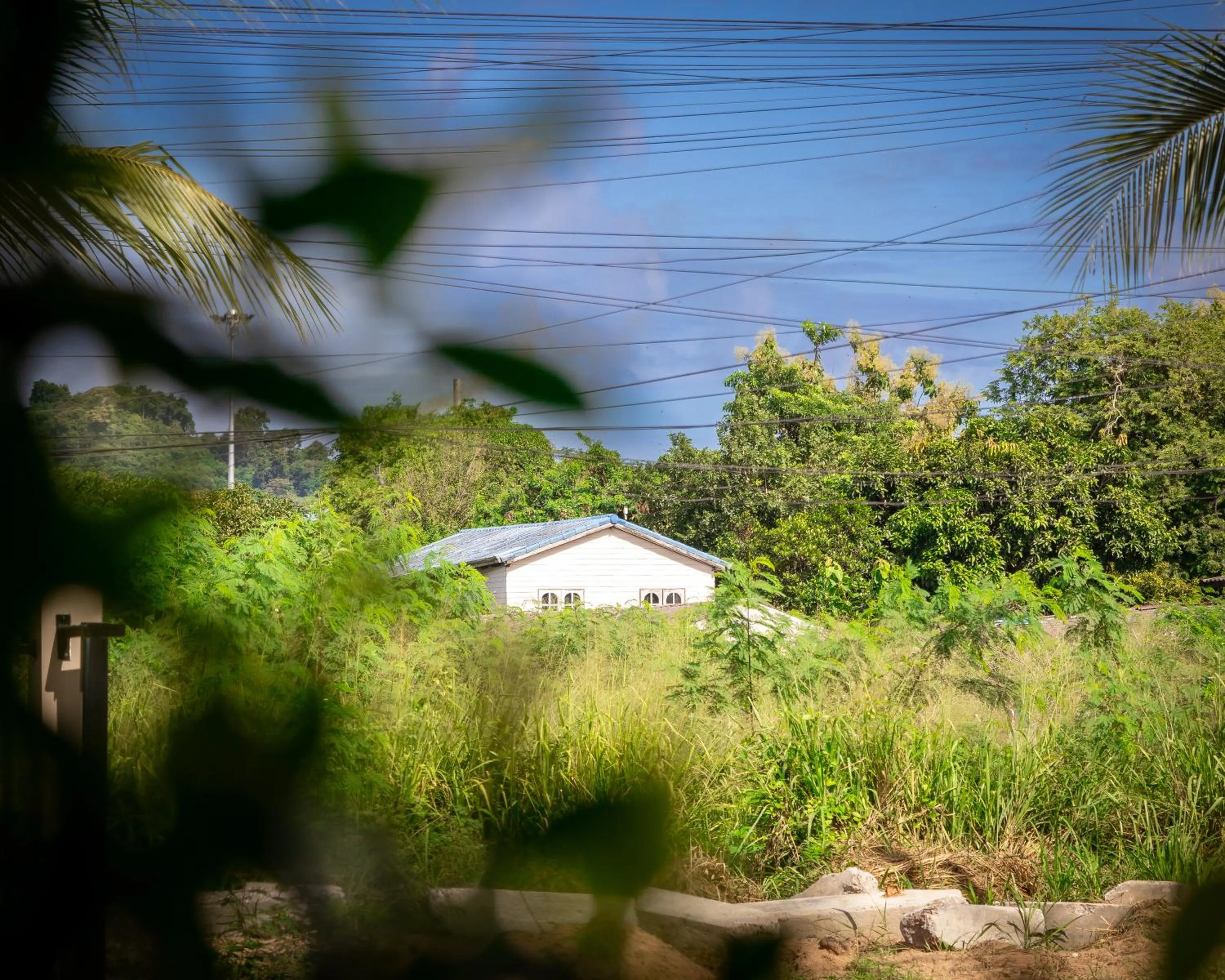 Natural landscape in Hideaway Resort Banchang