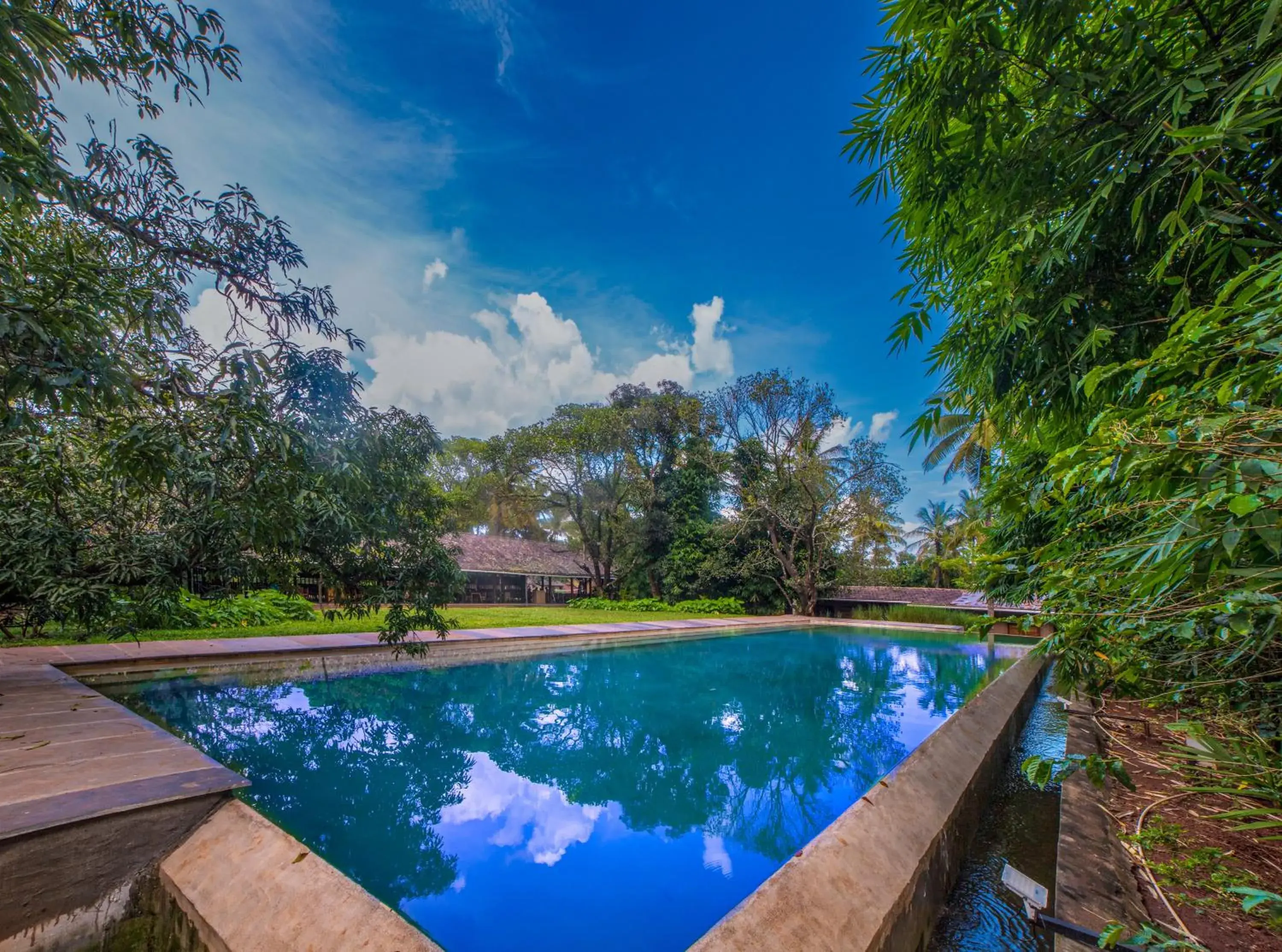 The Orchard Resort The Orchard Resort