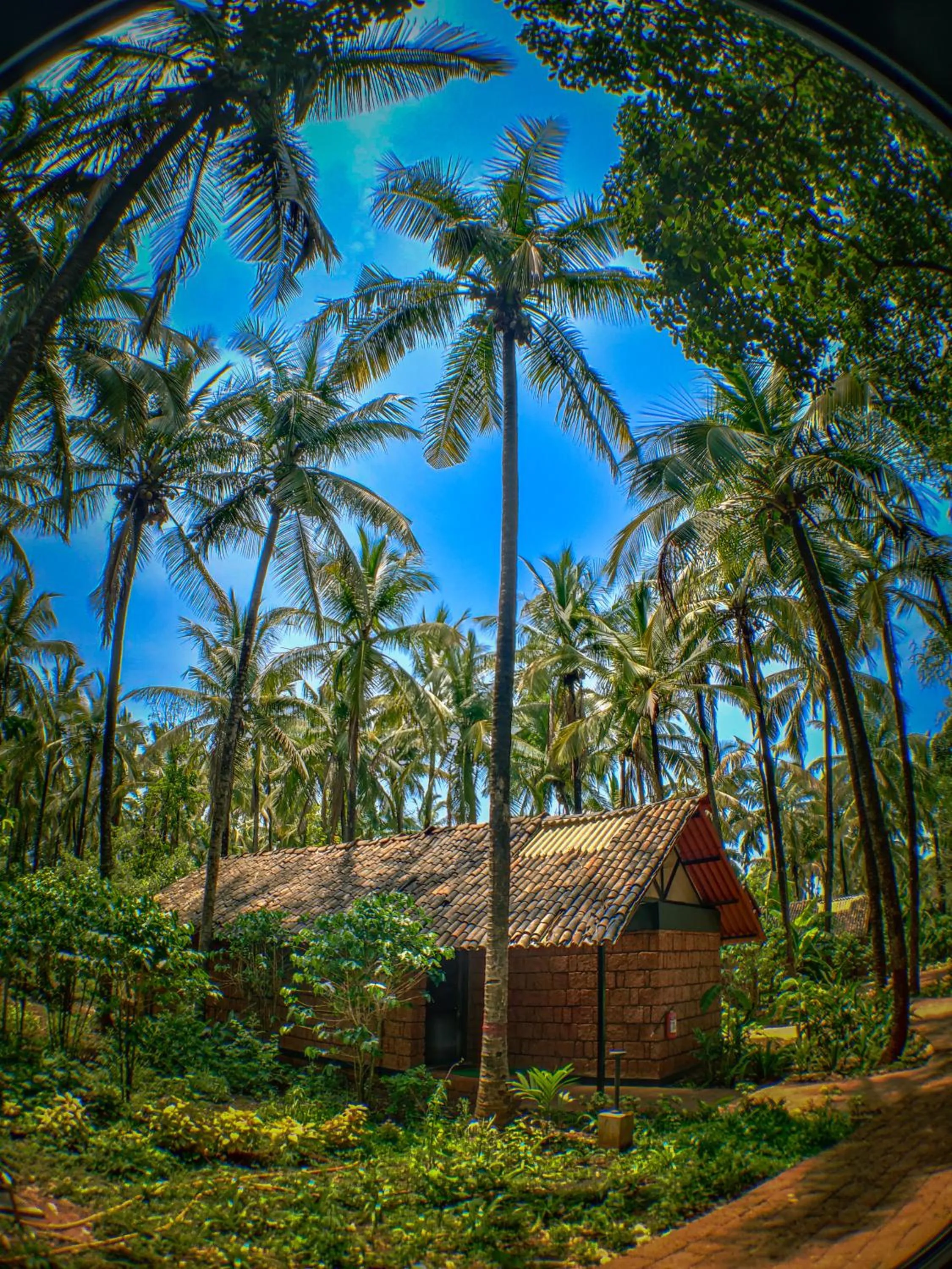 Natural landscape in The Orchard Resort