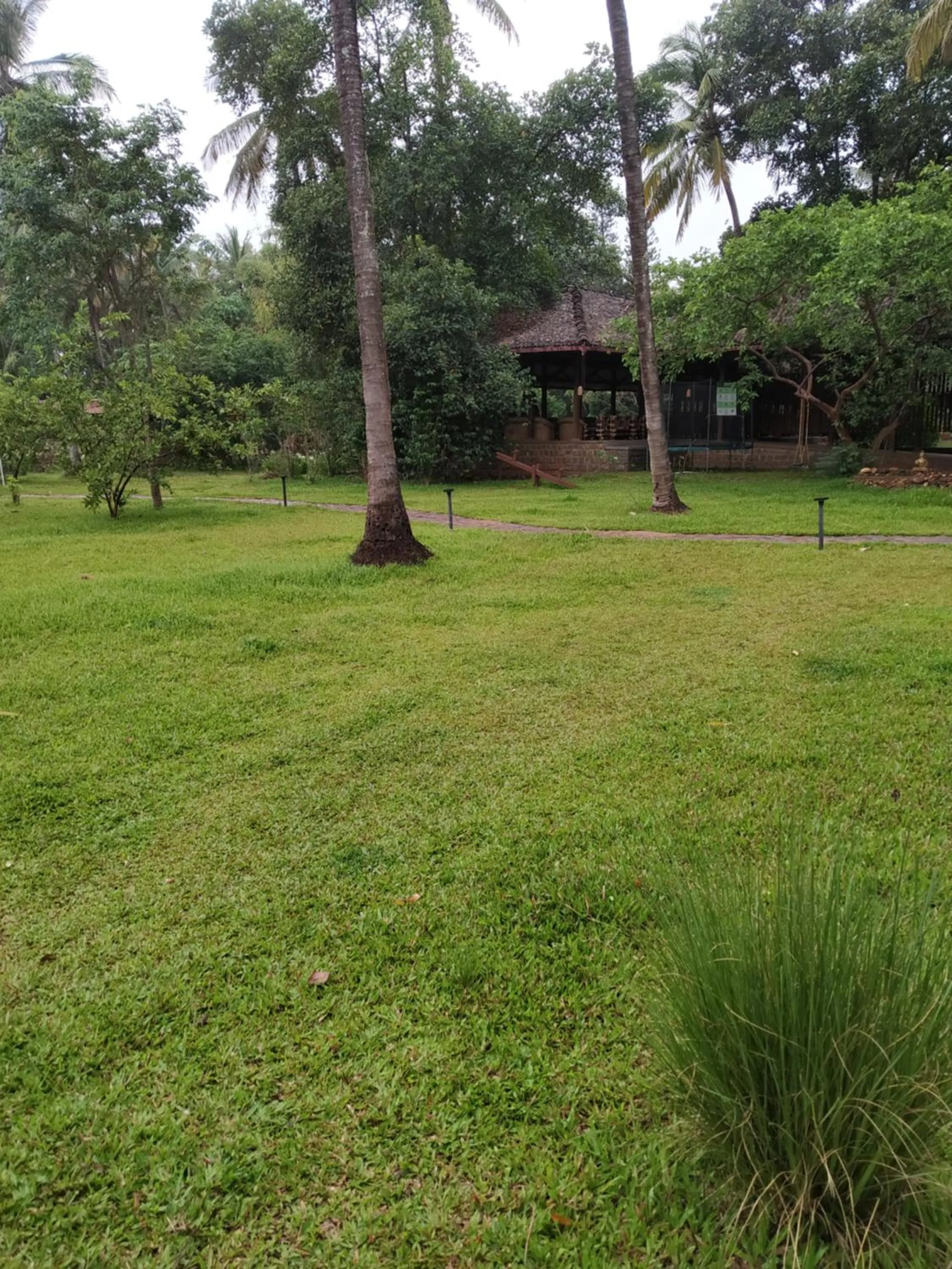 Garden in The Orchard Resort