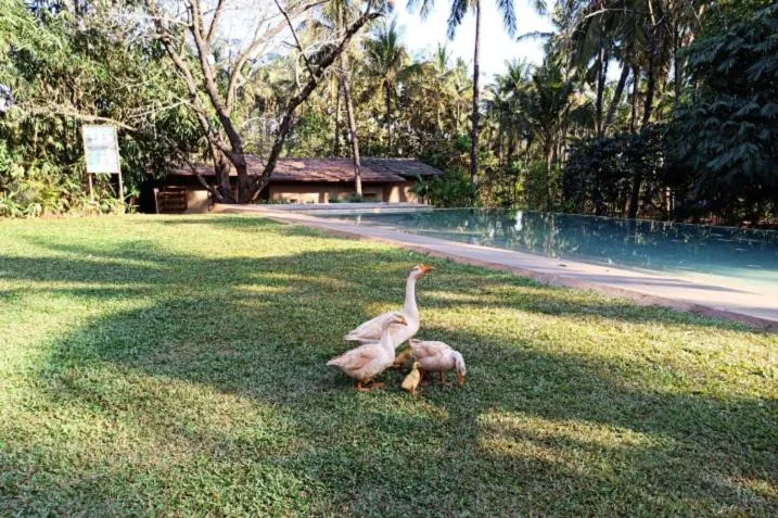 Natural landscape in The Orchard Resort