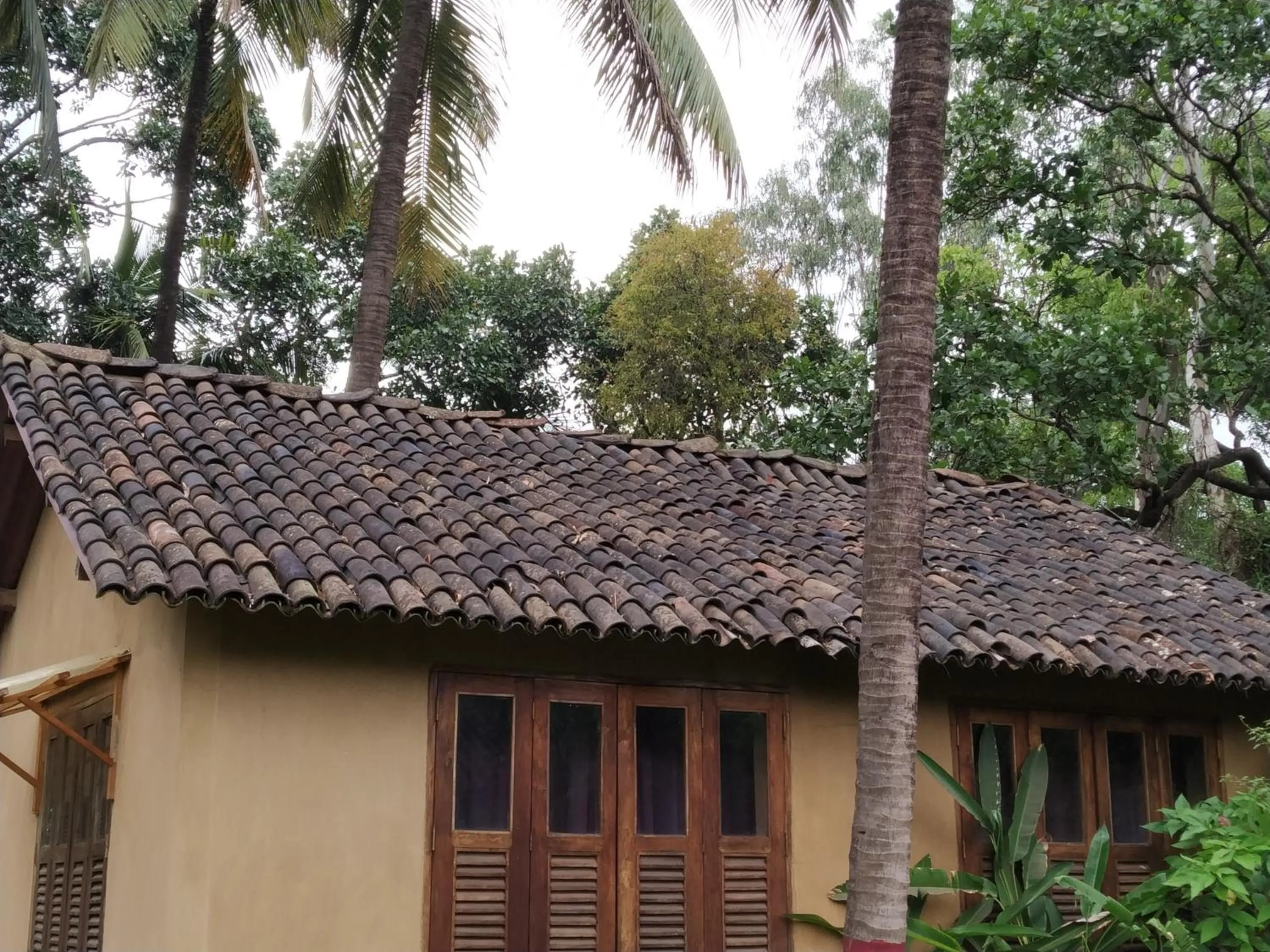 Property building in The Orchard Resort