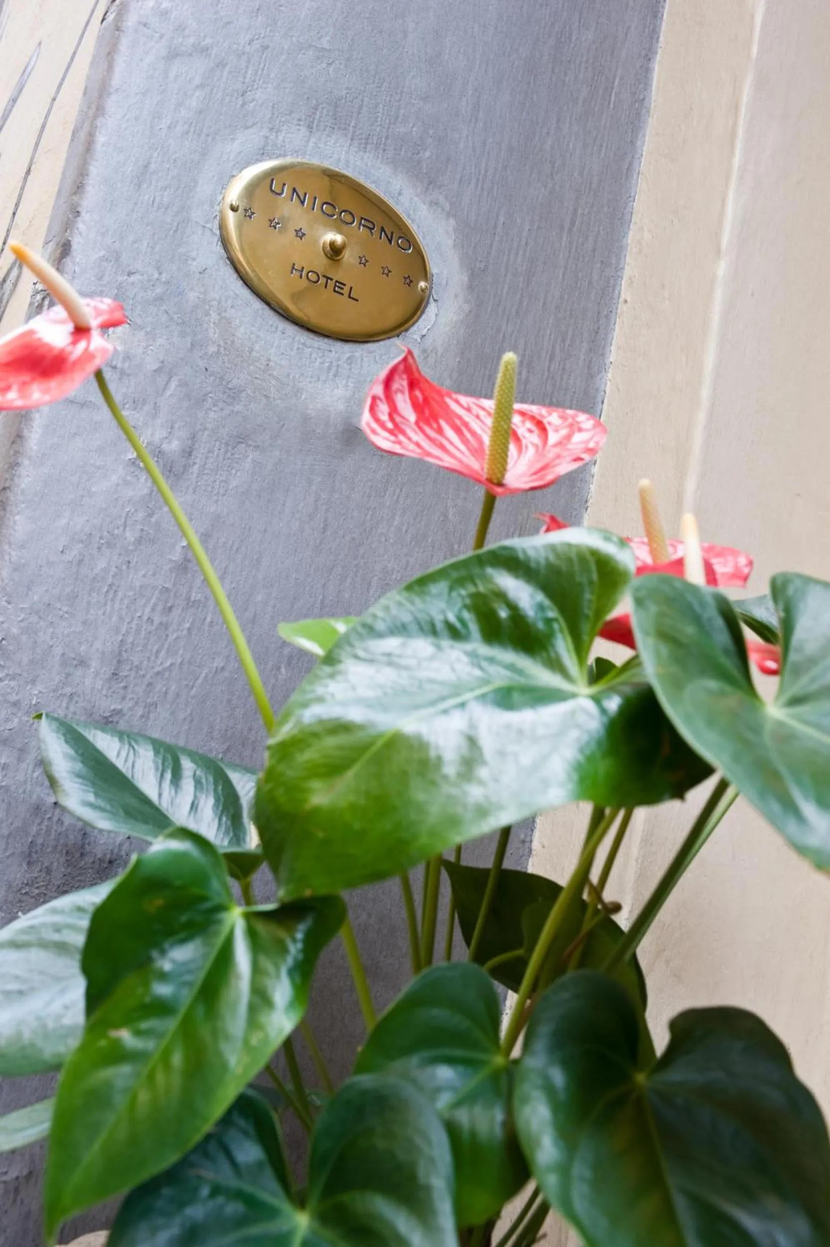 Decorative detail in Hotel Unicorno