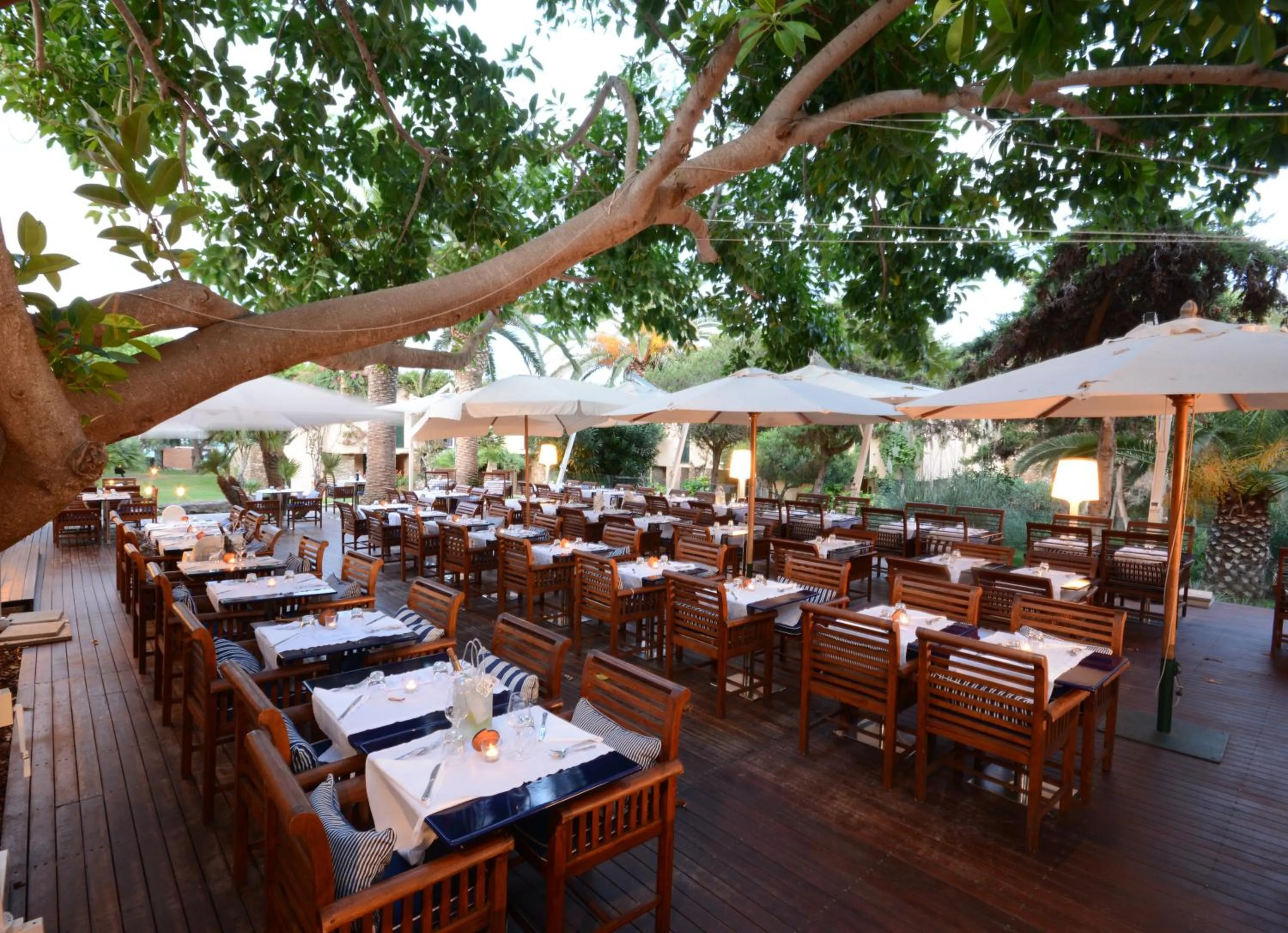 Restaurant/places to eat in UNAHOTELS Club Hotel Ancora