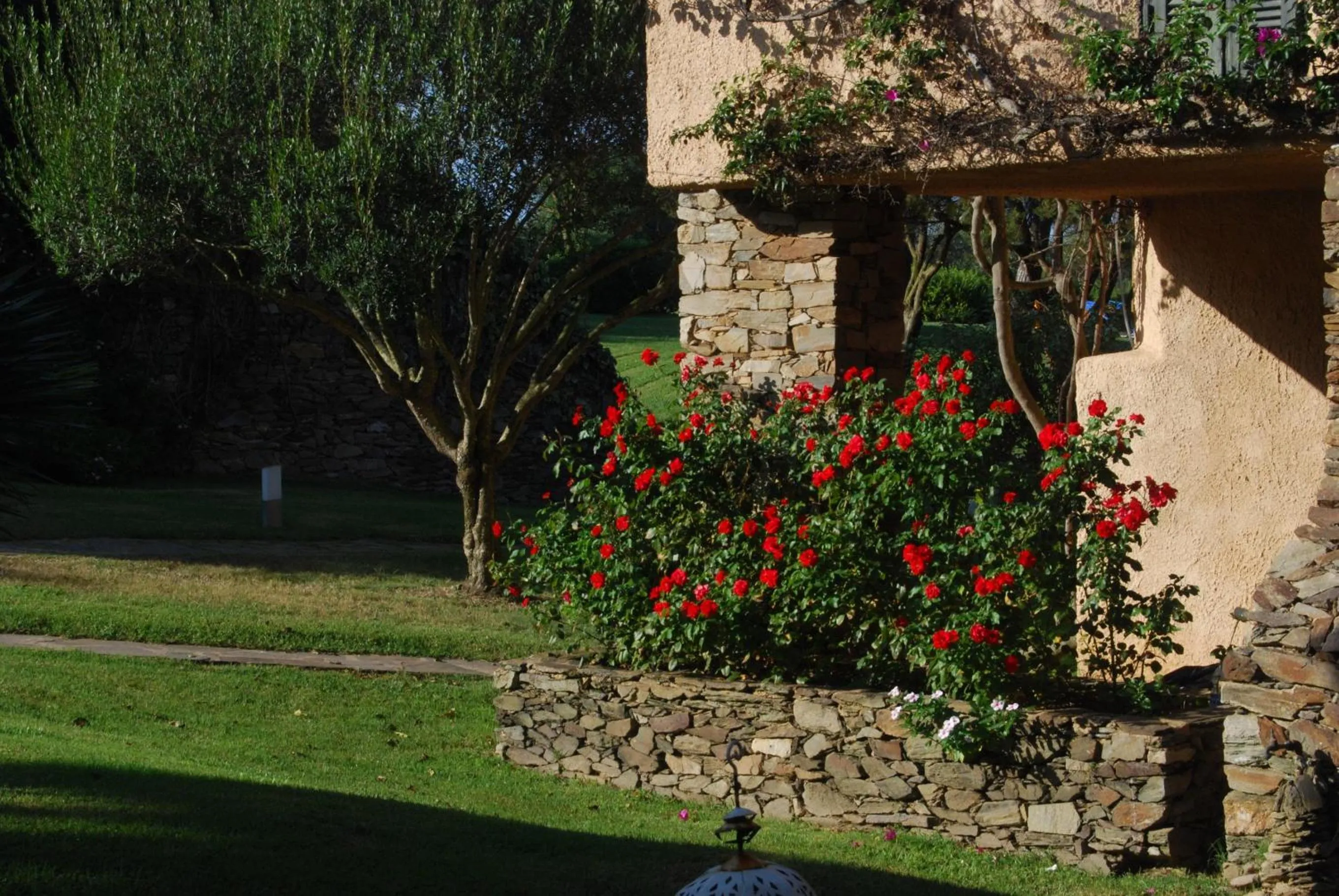 Garden in UNAHOTELS Club Hotel Ancora