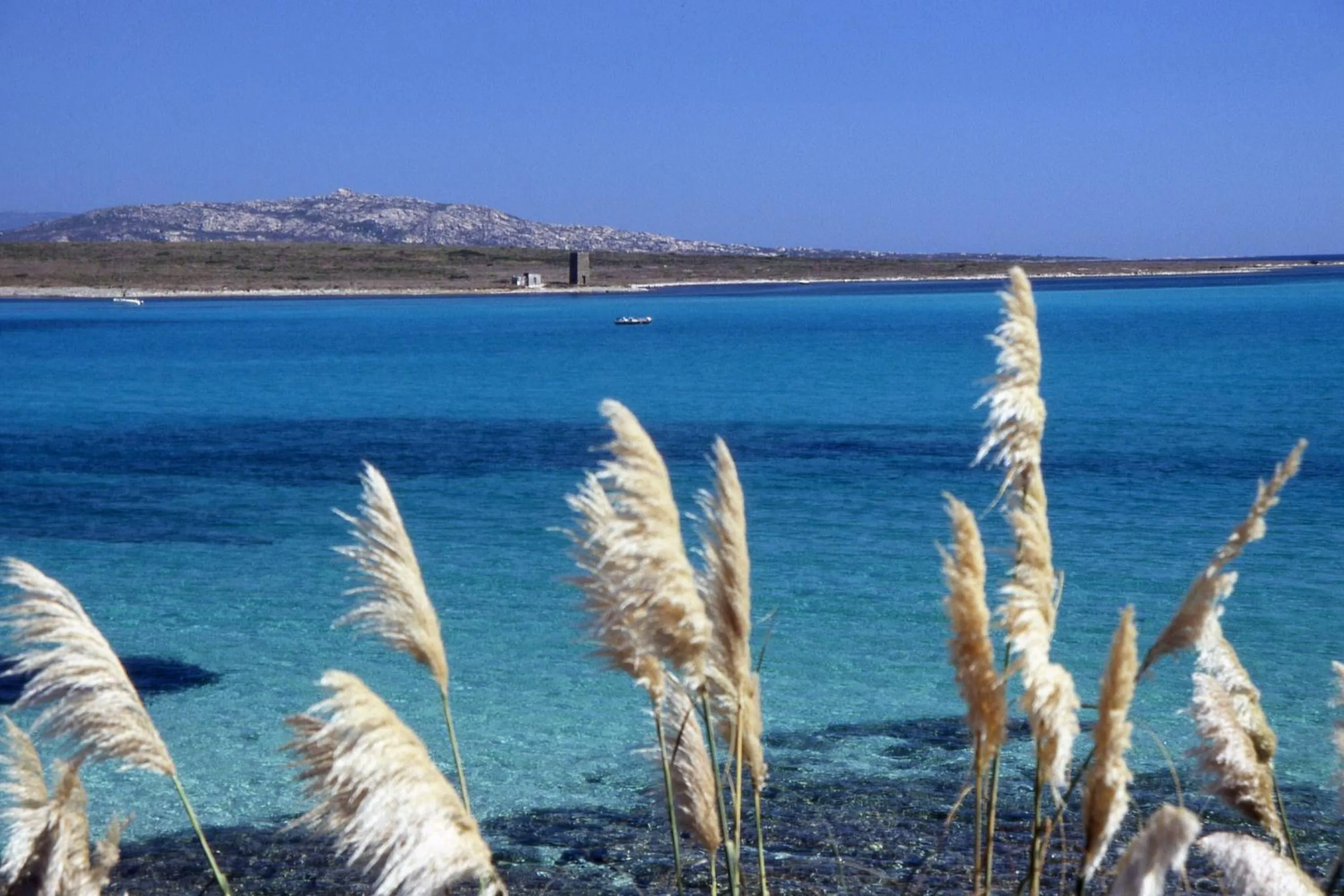 Area and facilities in UNAHOTELS Club Hotel Ancora