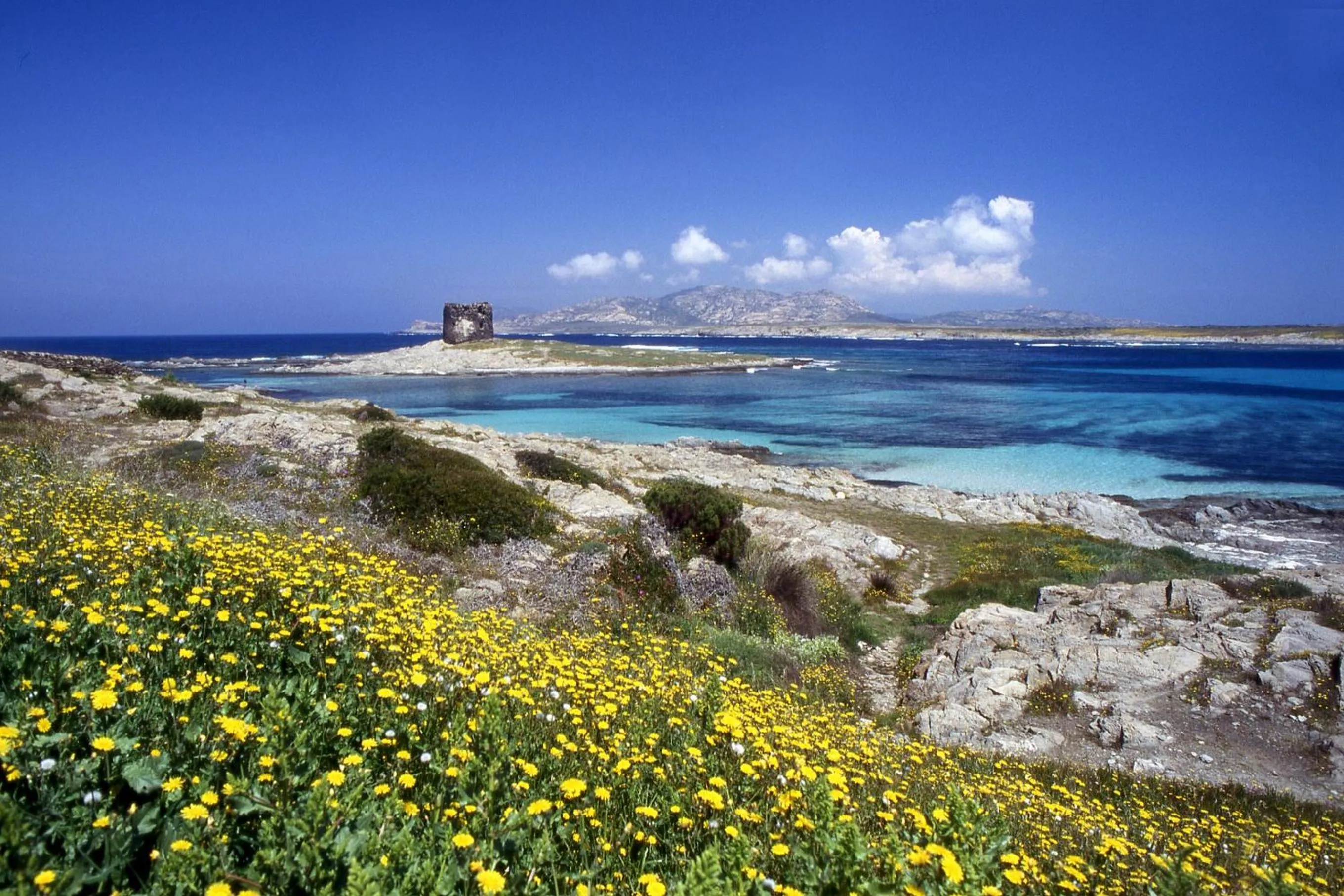 Area and facilities in UNAHOTELS Club Hotel Ancora