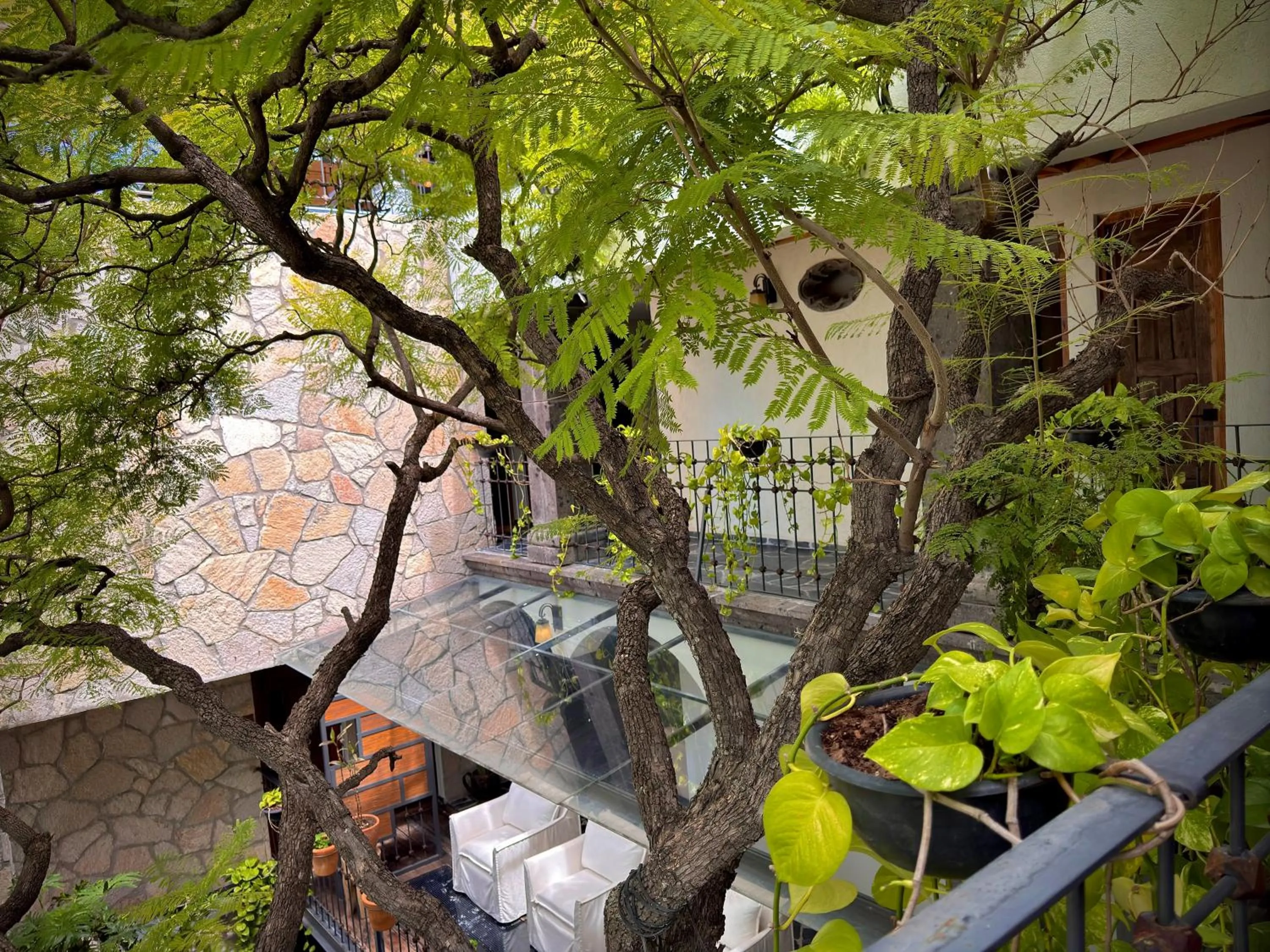 Balcony/Terrace in Hotel Boutique Casa Laja