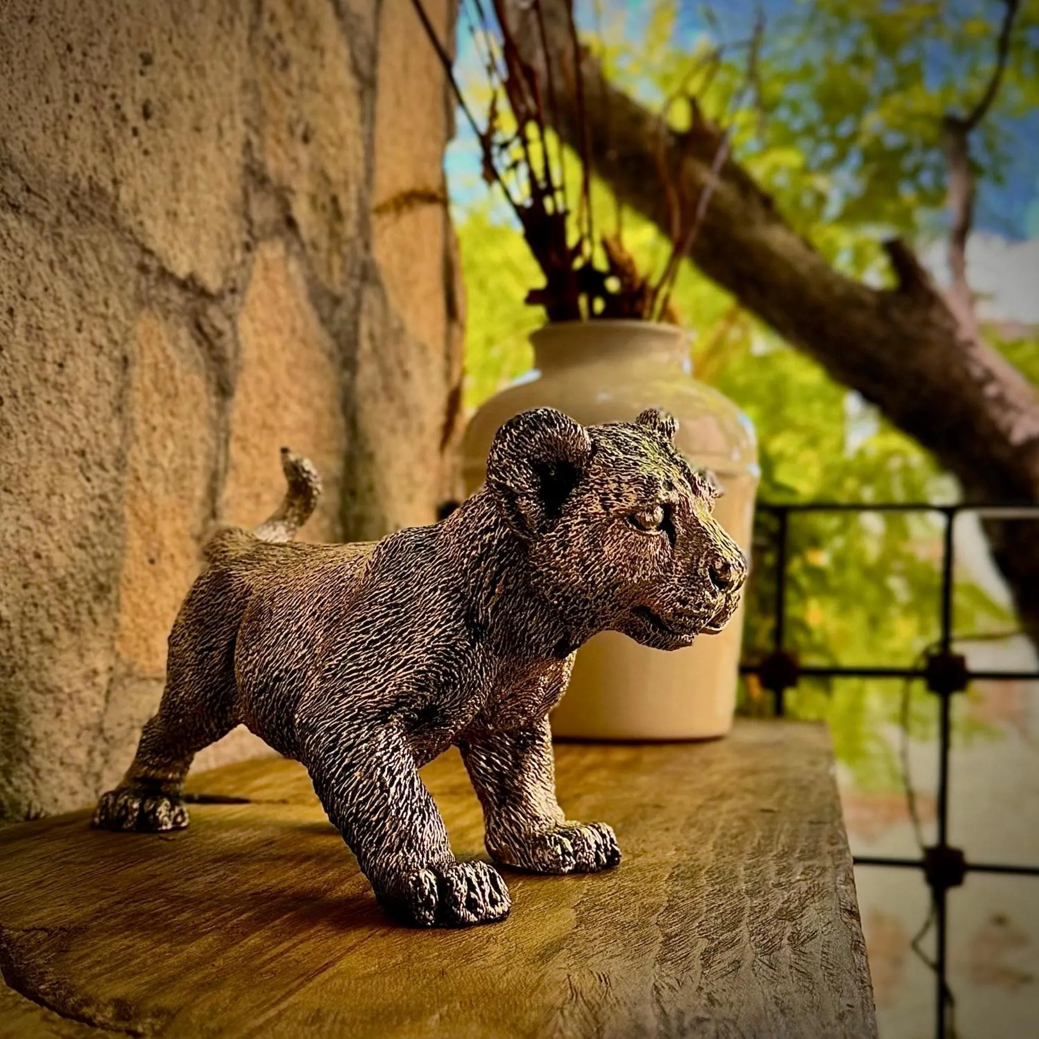 Pets in Hotel Boutique Casa Laja