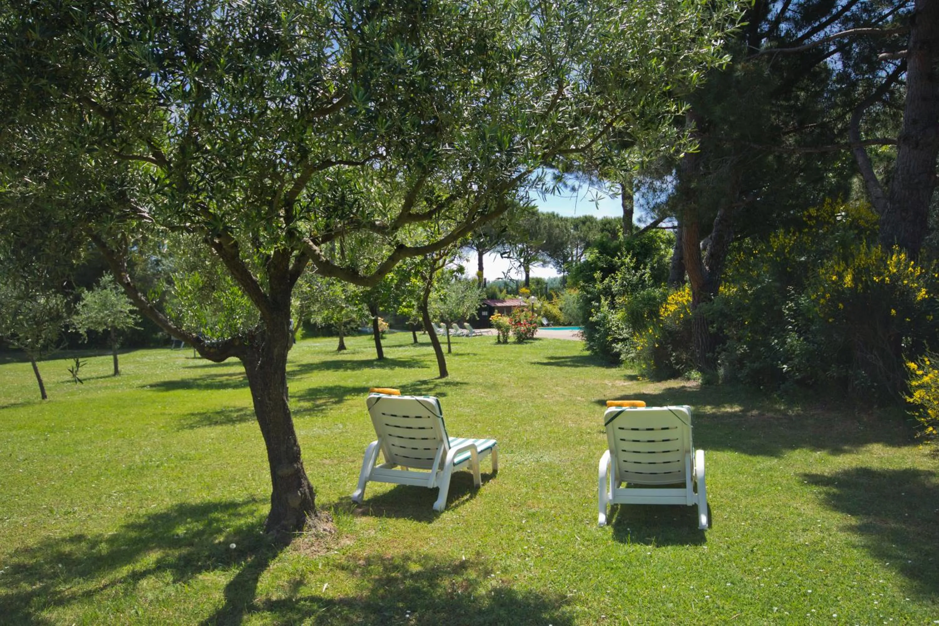 Spring in Hotel Panoramic Montepulciano