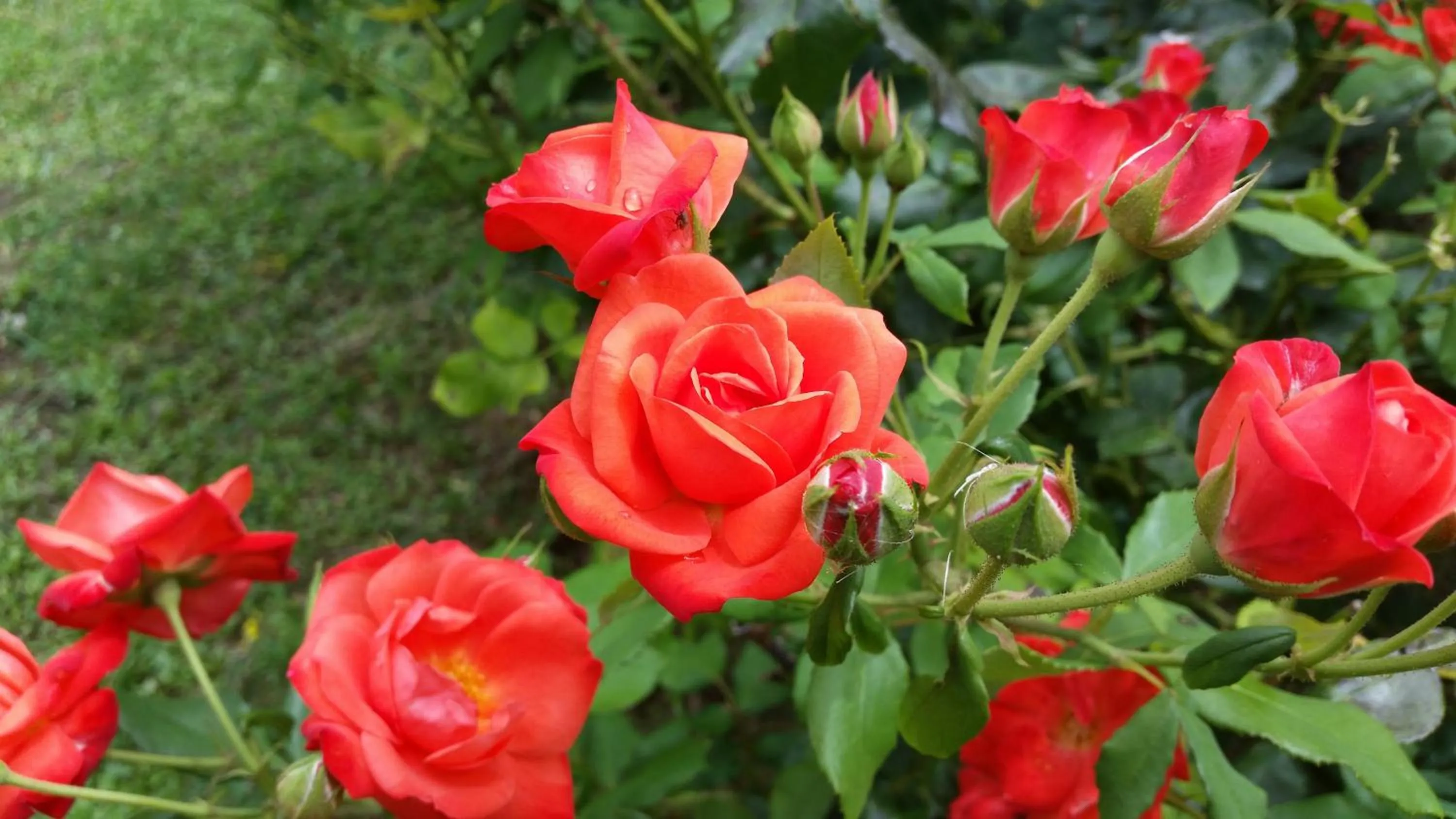 Other in Hotel Panoramic Montepulciano
