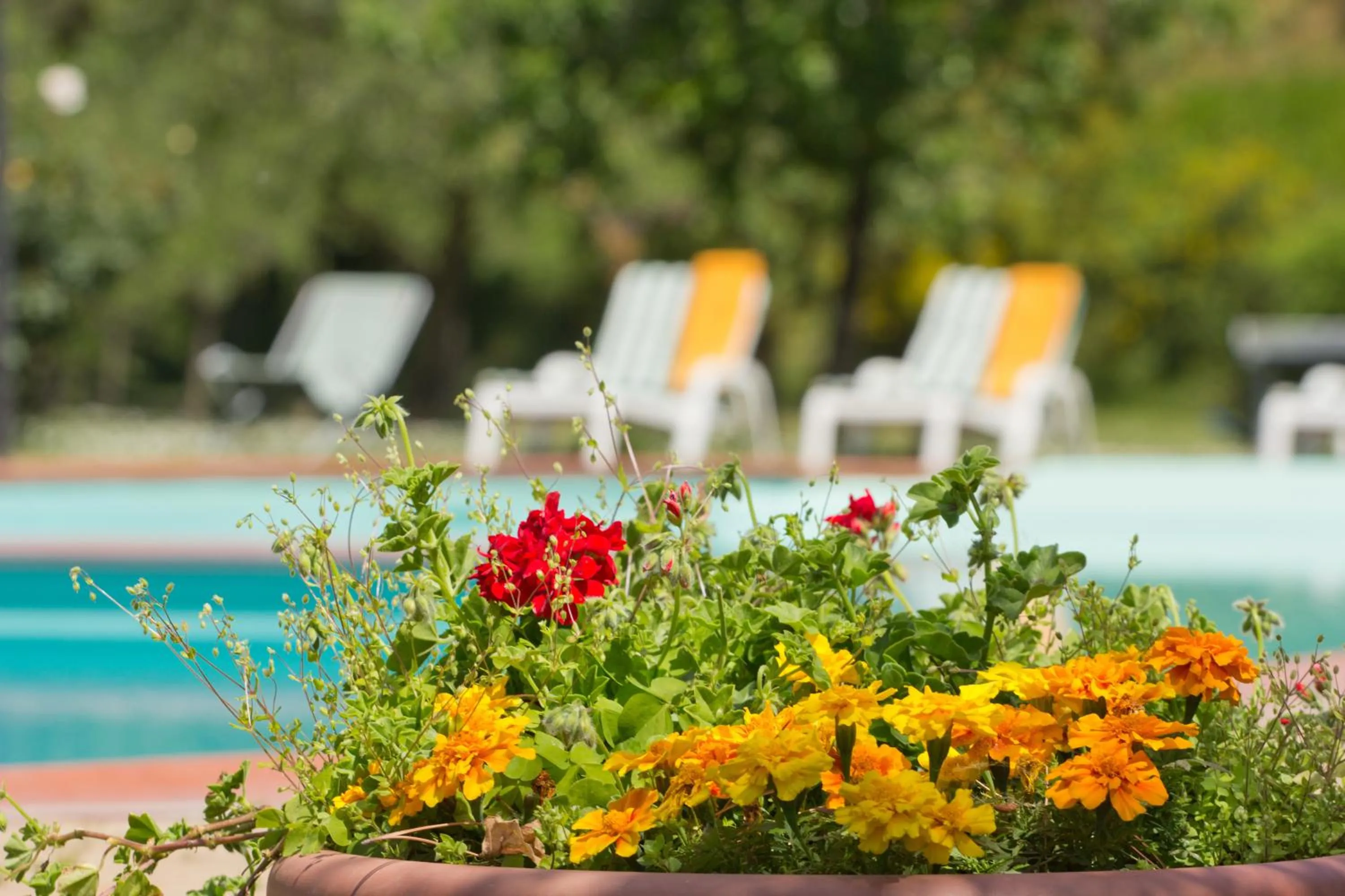 Garden in Hotel Panoramic Montepulciano