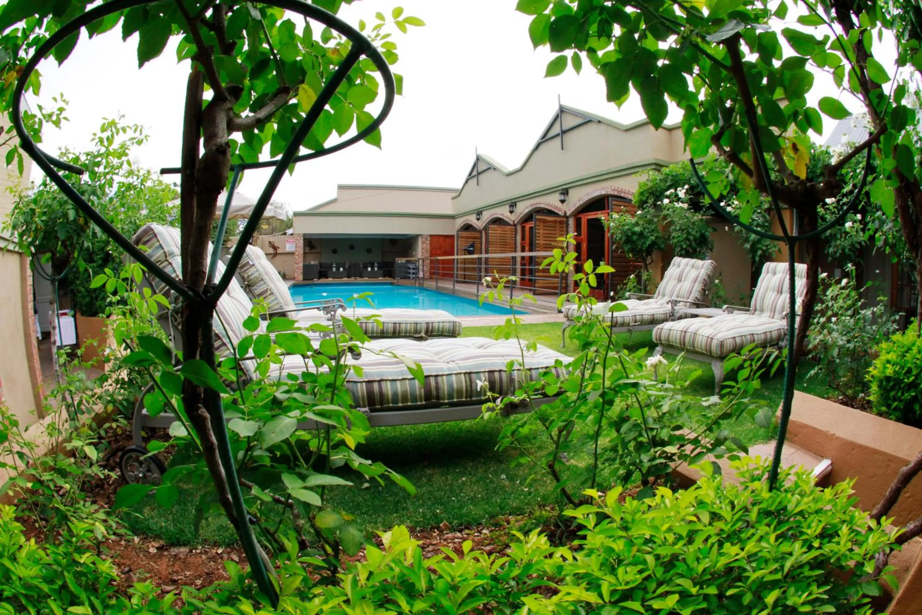 Garden in Oleander Guest House