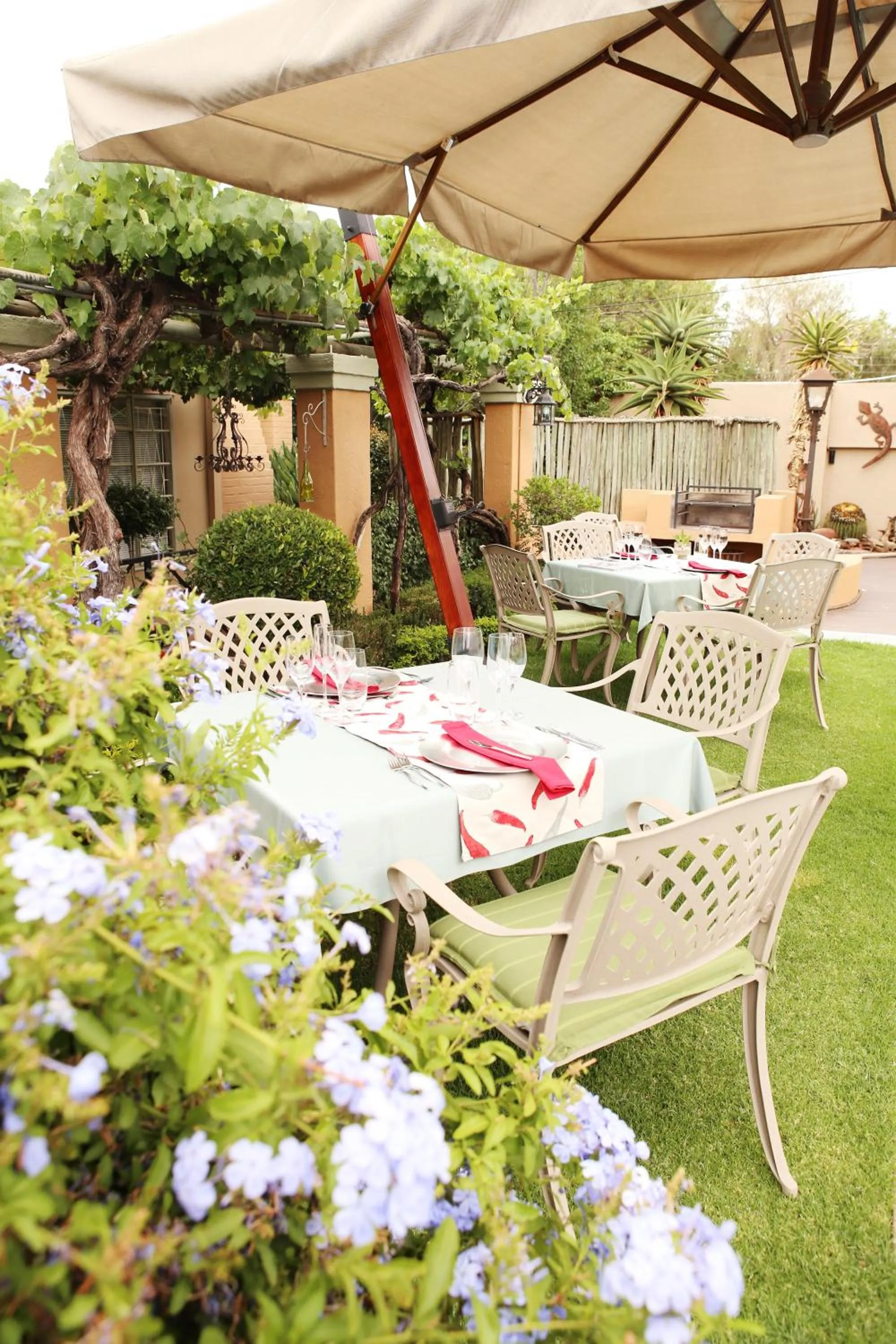 Garden in Oleander Guest House