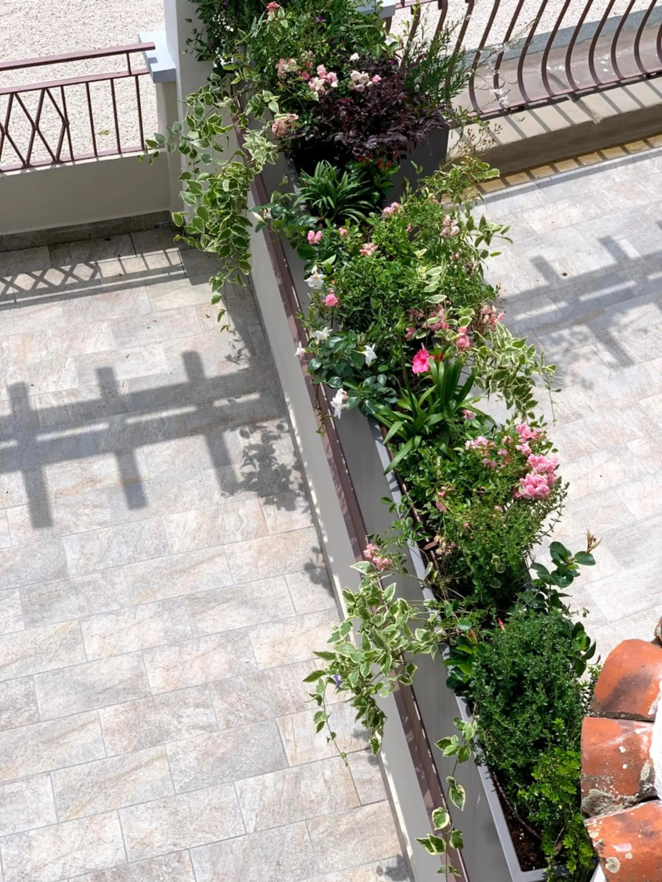 Balcony/Terrace in Hotel Du Lac