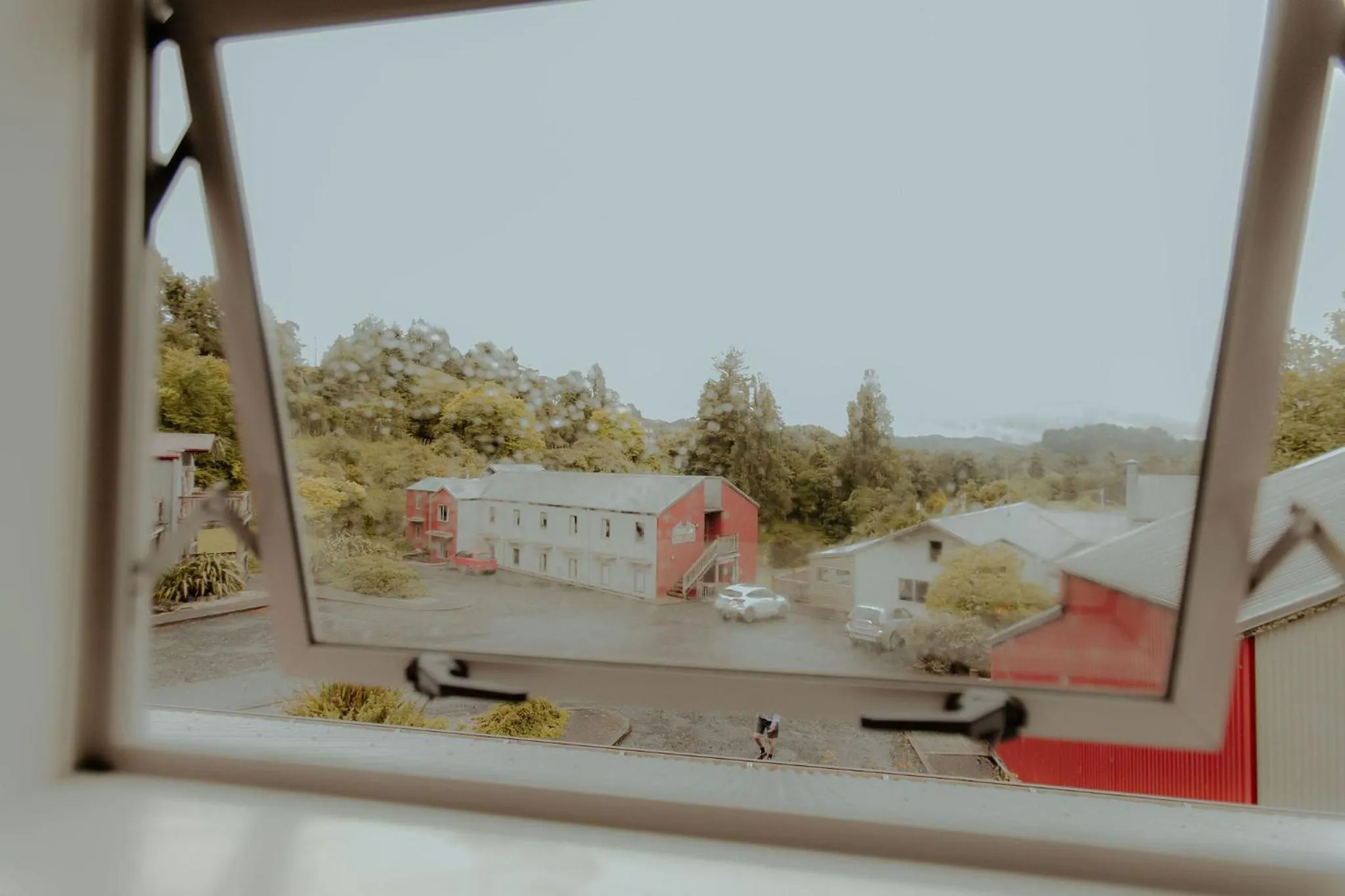 Garden view in Waitomo Village Chalets home of Kiwipaka