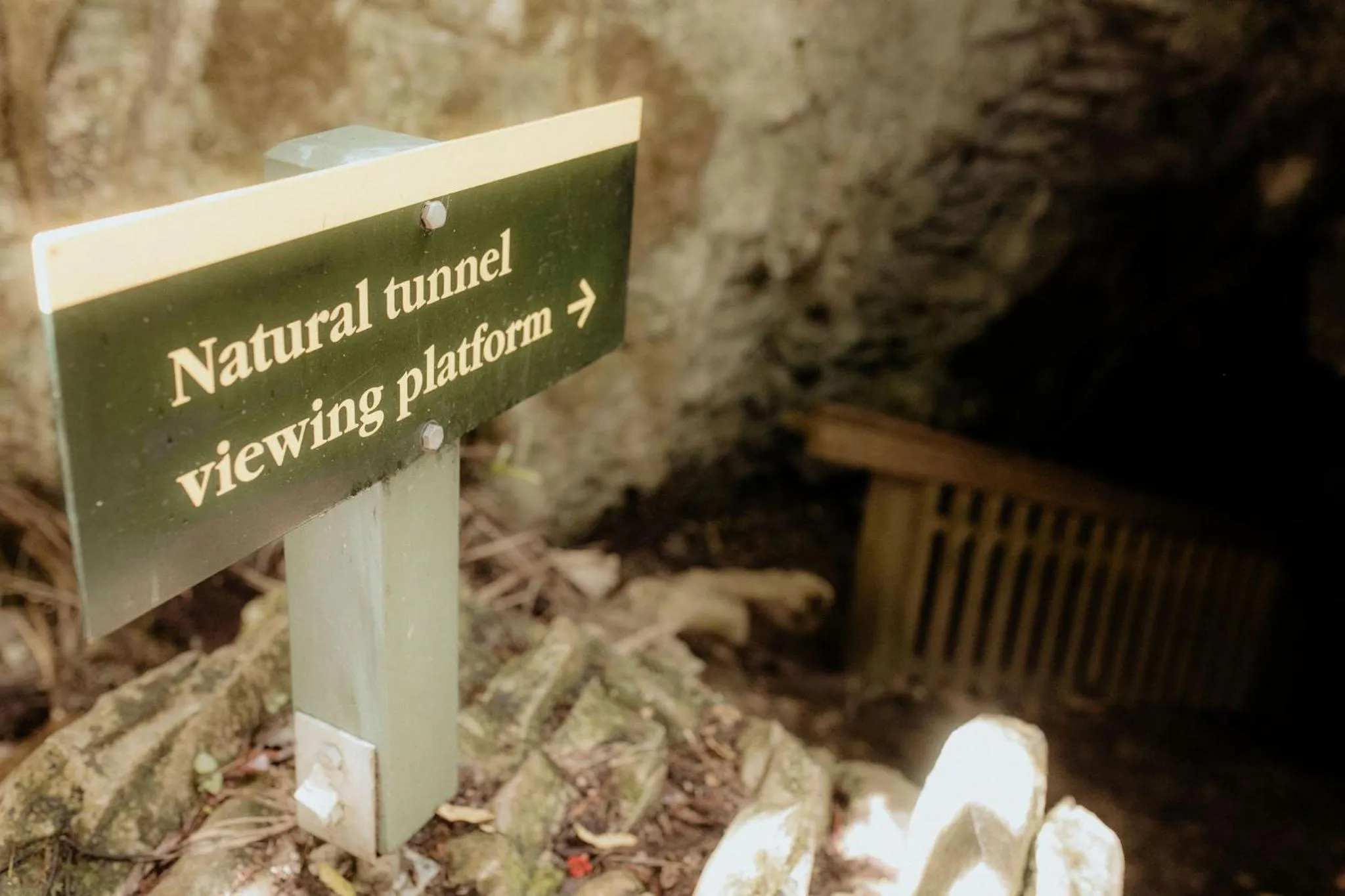 Nearby landmark in Waitomo Village Chalets home of Kiwipaka