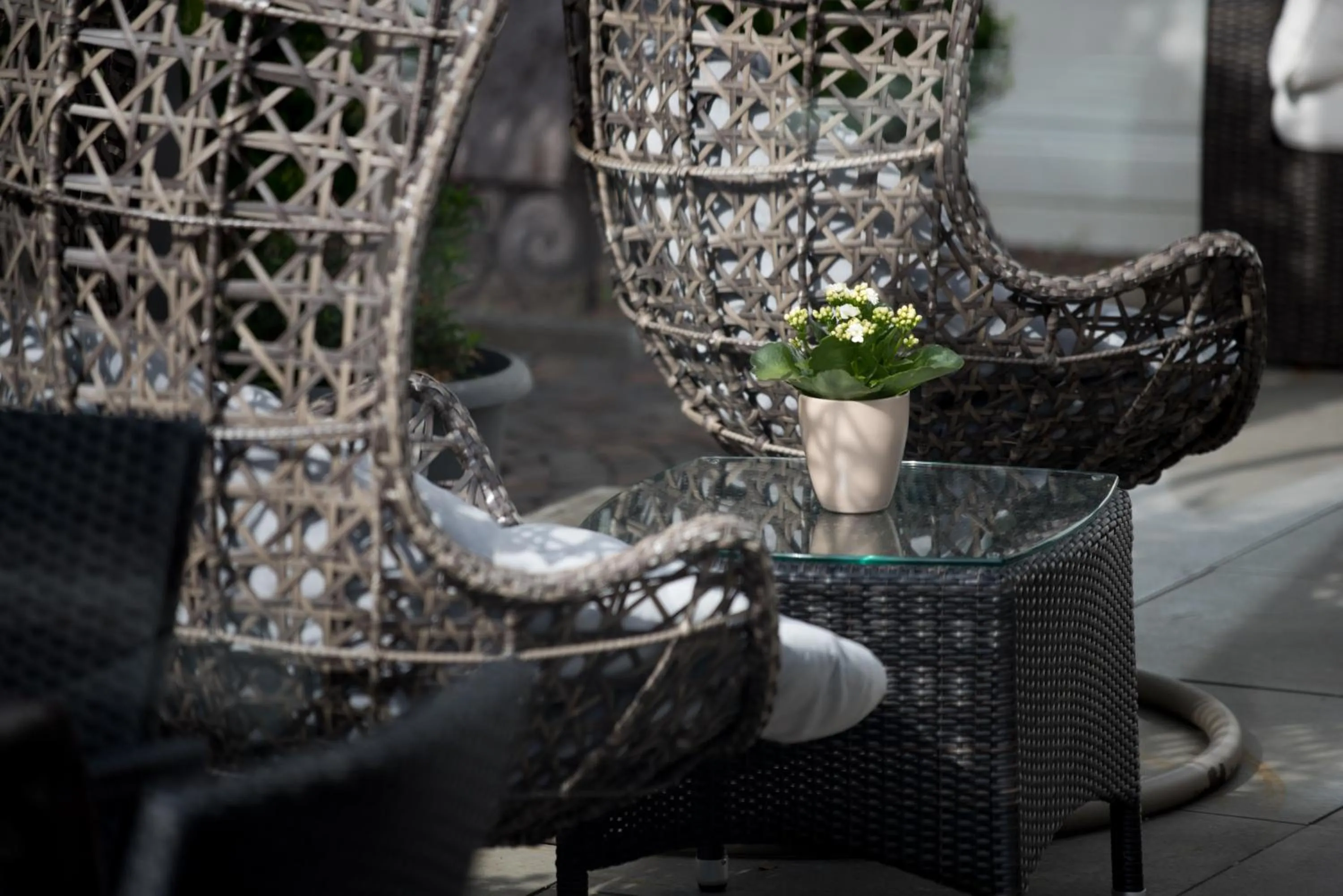 Restaurant/places to eat in Hotel Ladurner