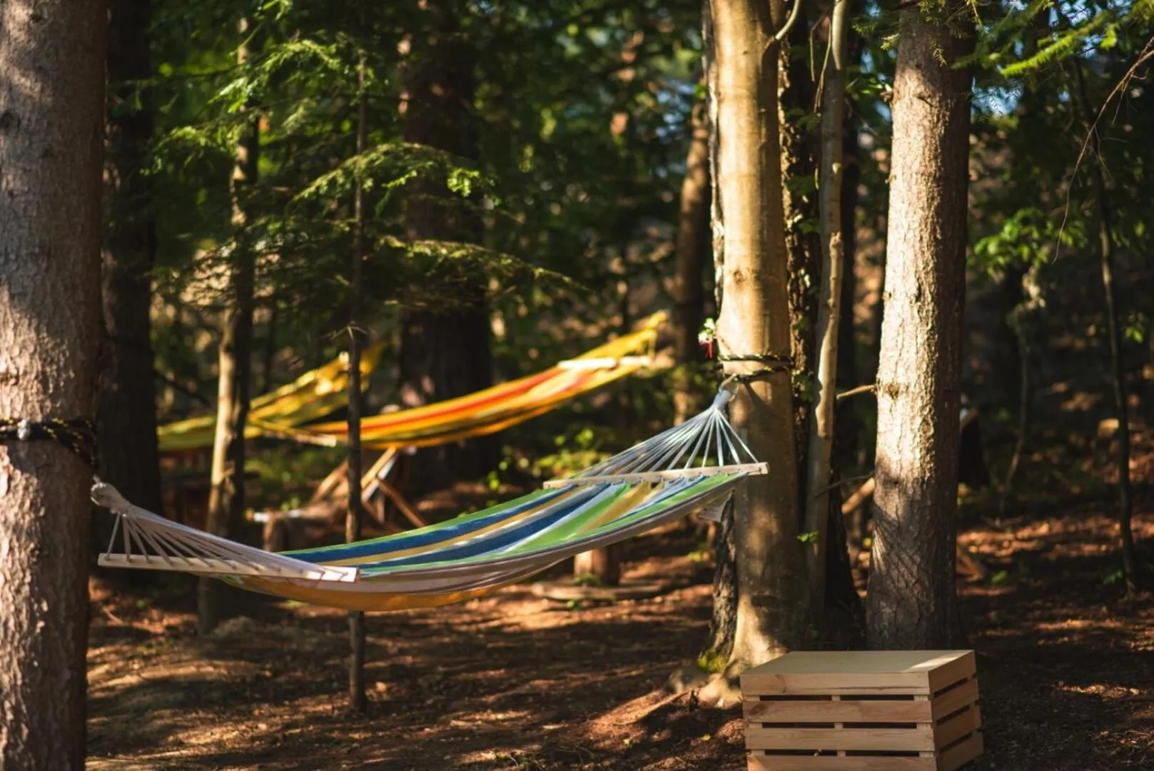 Natural landscape in BELMONTE Hotel Krynica-Zdrój