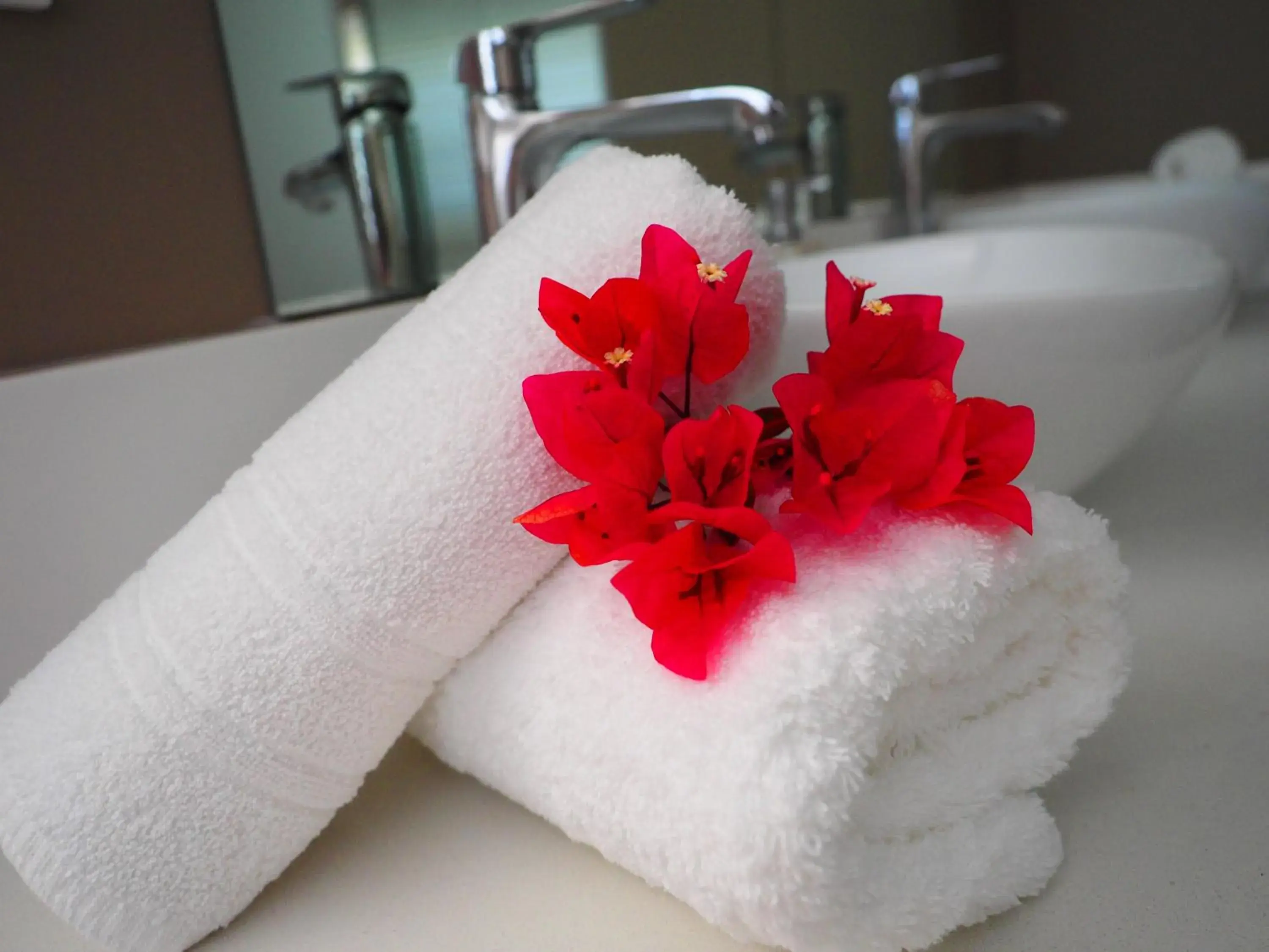 Deluxe Double or Twin Room with Ocean View - single occupancy in AT THE SEA Boutique Guesthouse Deluxe Double or Twin Room with Ocean View - single occupancy in AT THE SEA Boutique Guesthouse