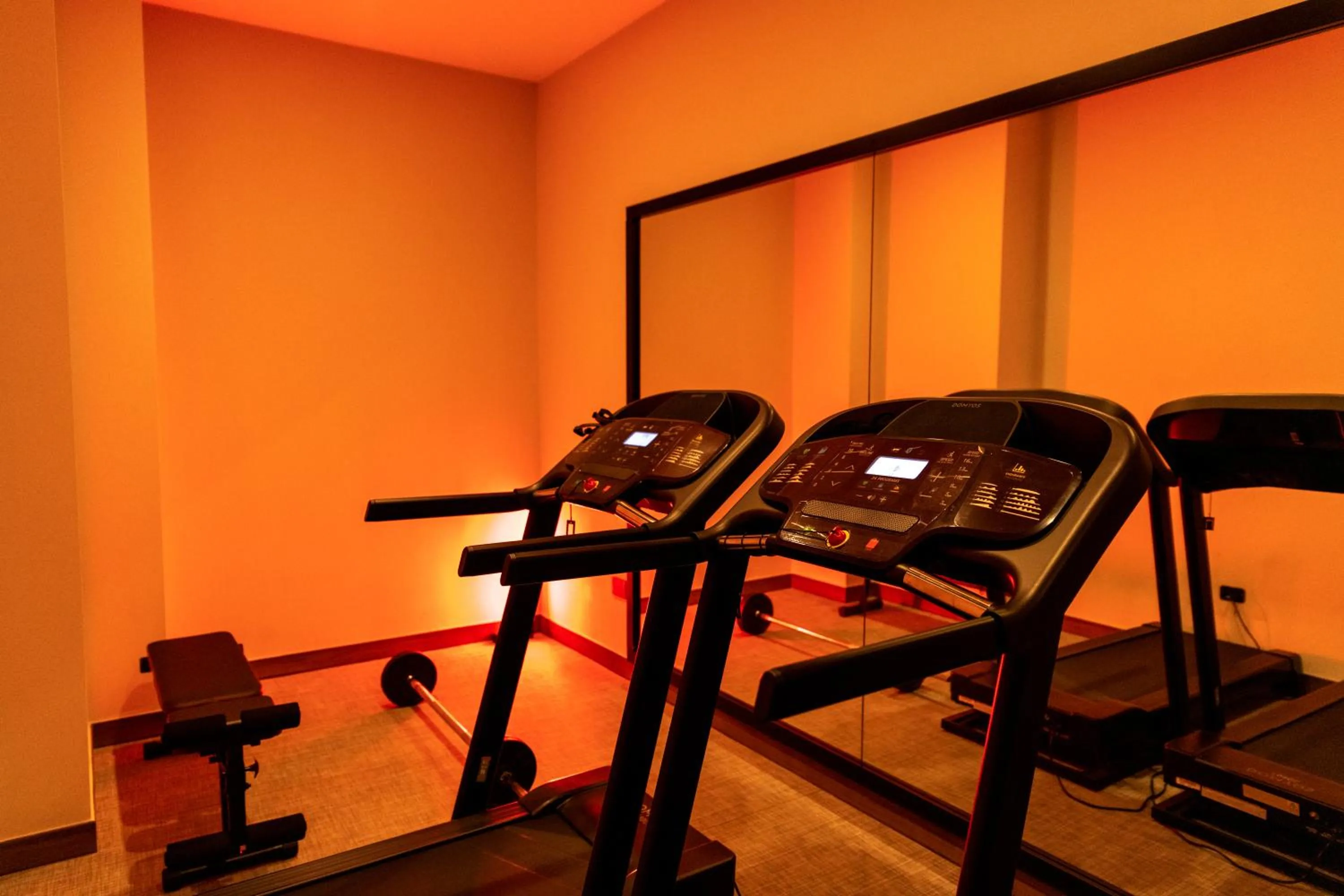 Fitness centre/facilities in Building Hotel