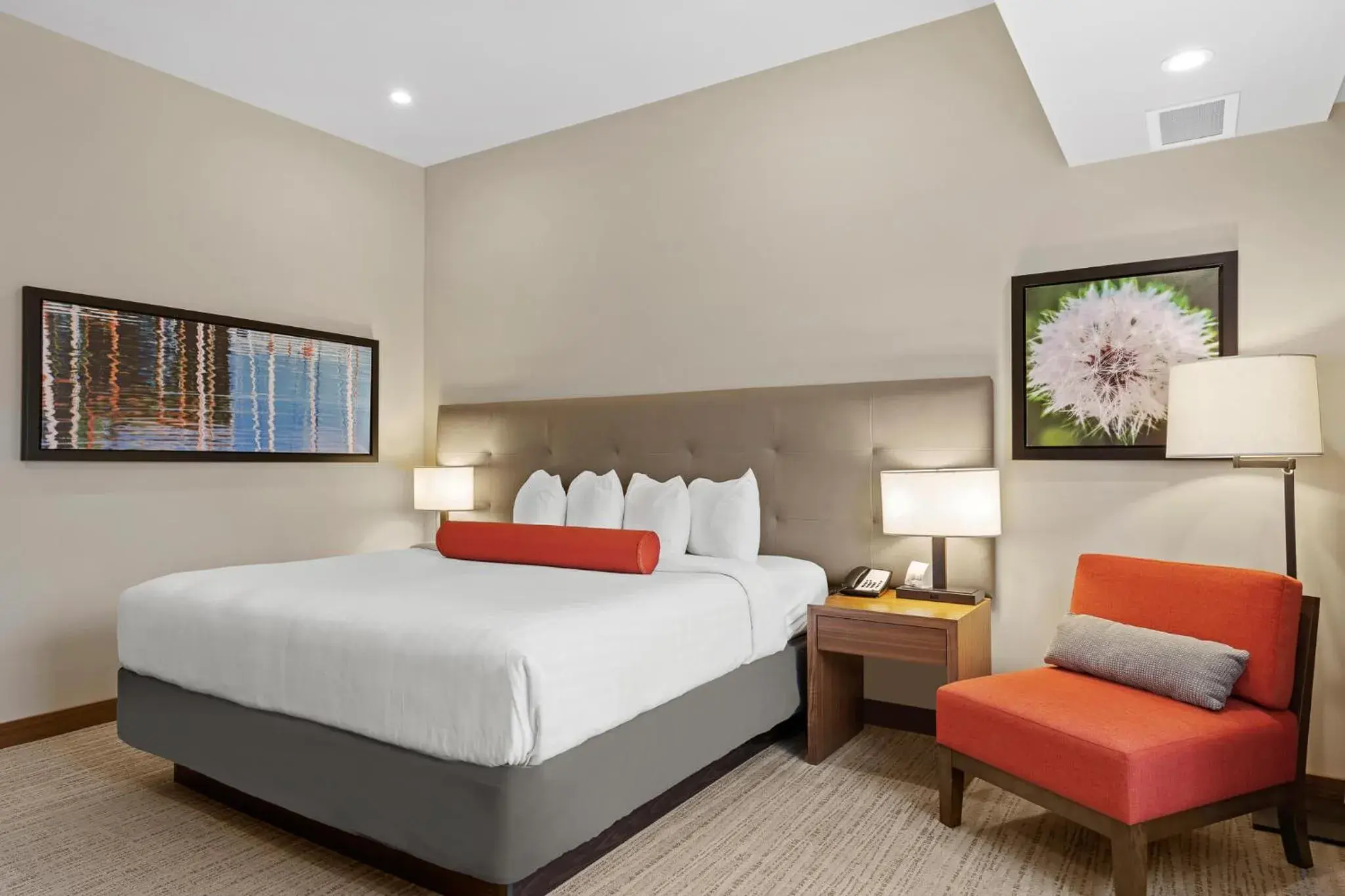 King Room with Roll-In Shower - Disability Access in Mountain View Inn & Suites King Room with Roll-In Shower - Disability Access in Mountain View Inn & Suites