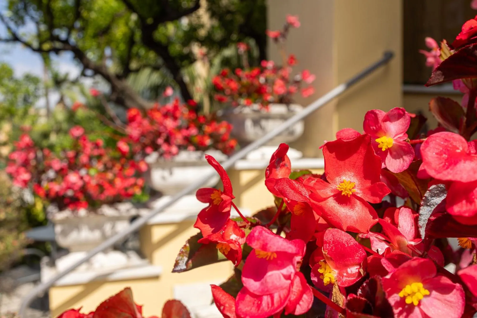 Facade/entrance in Hotel Villa Elisa & Spa