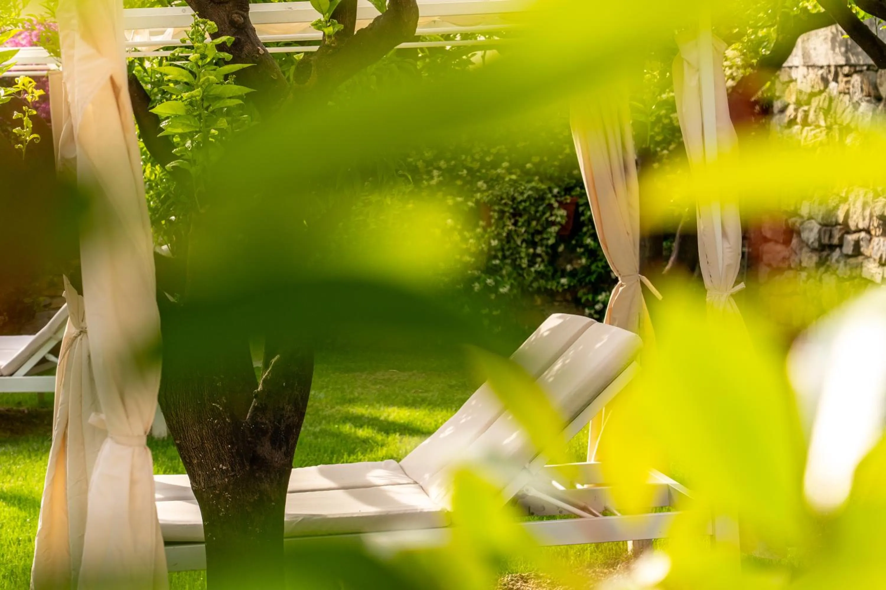 Garden in Hotel Villa Elisa & Spa