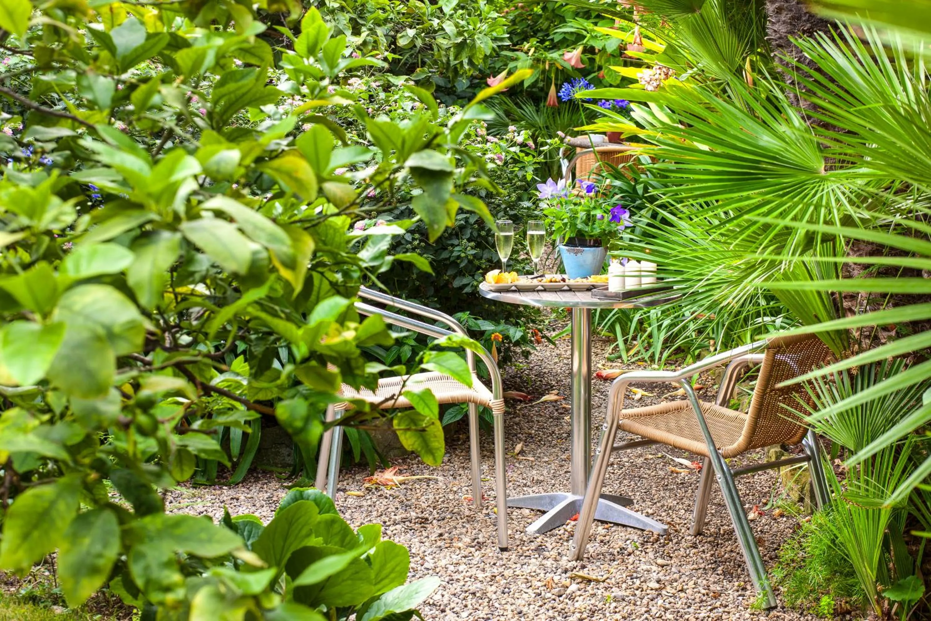 Garden in Hotel Villa Elisa & Spa