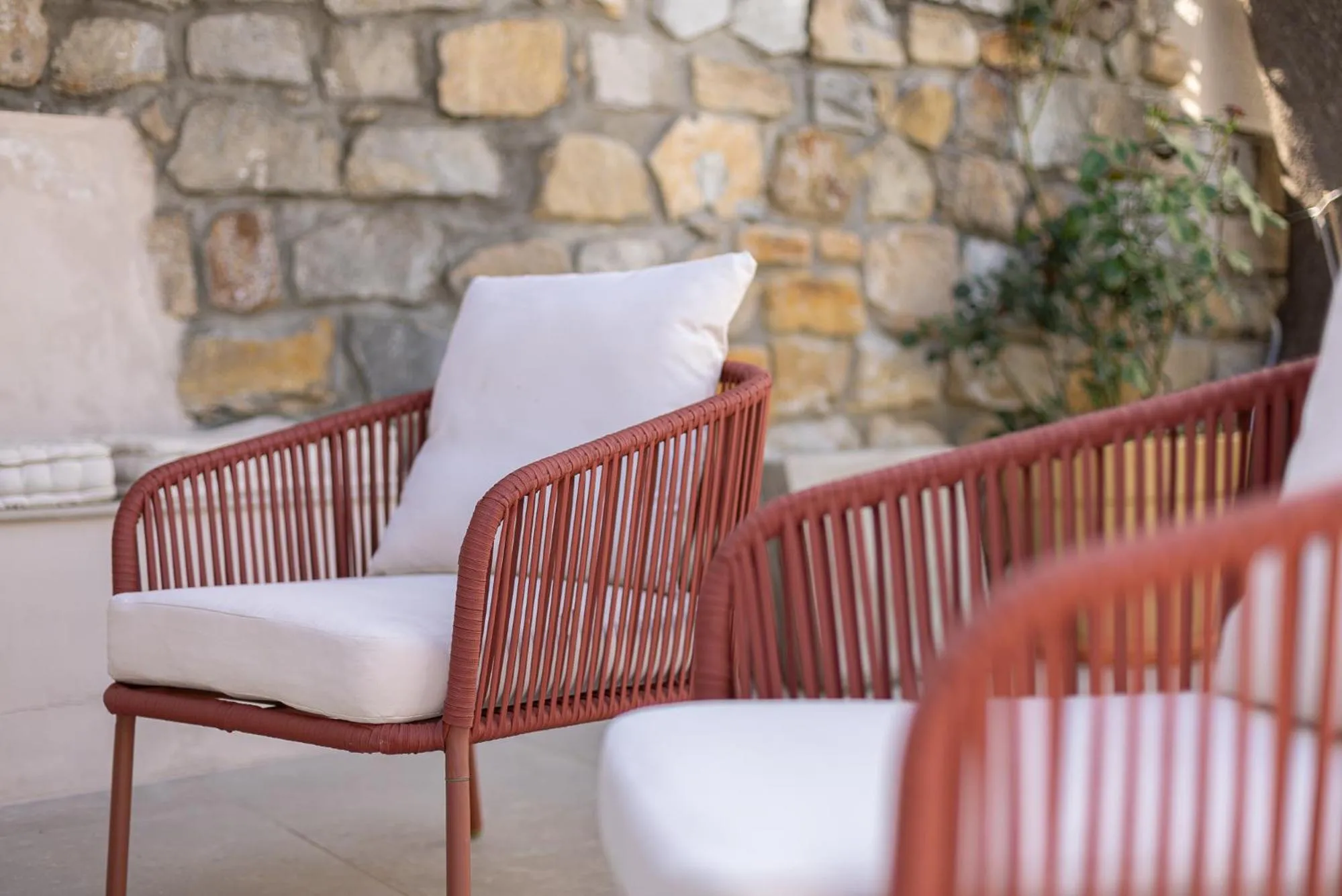 Garden in Hotel Villa Elisa & Spa