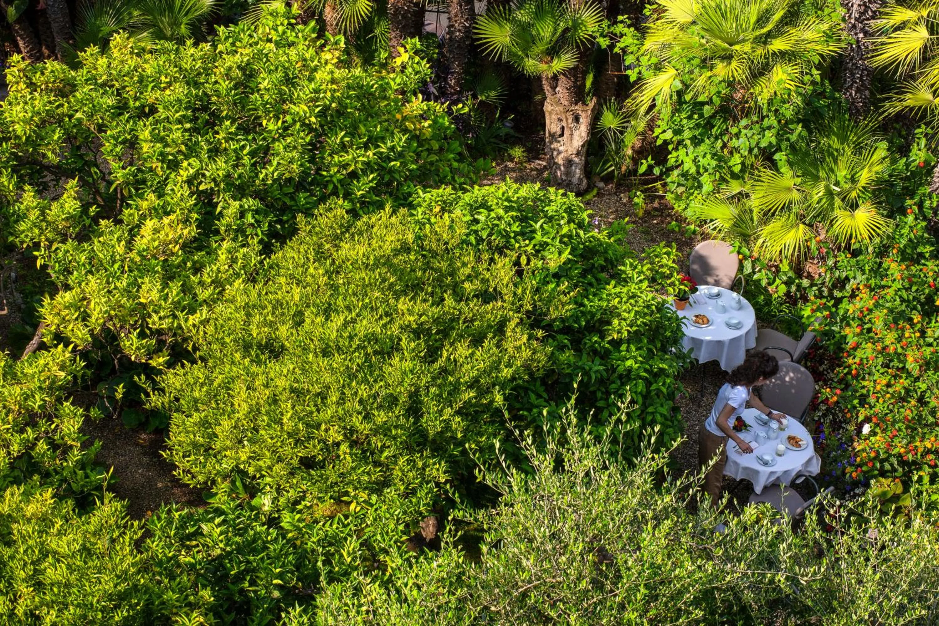 Garden in Hotel Villa Elisa & Spa