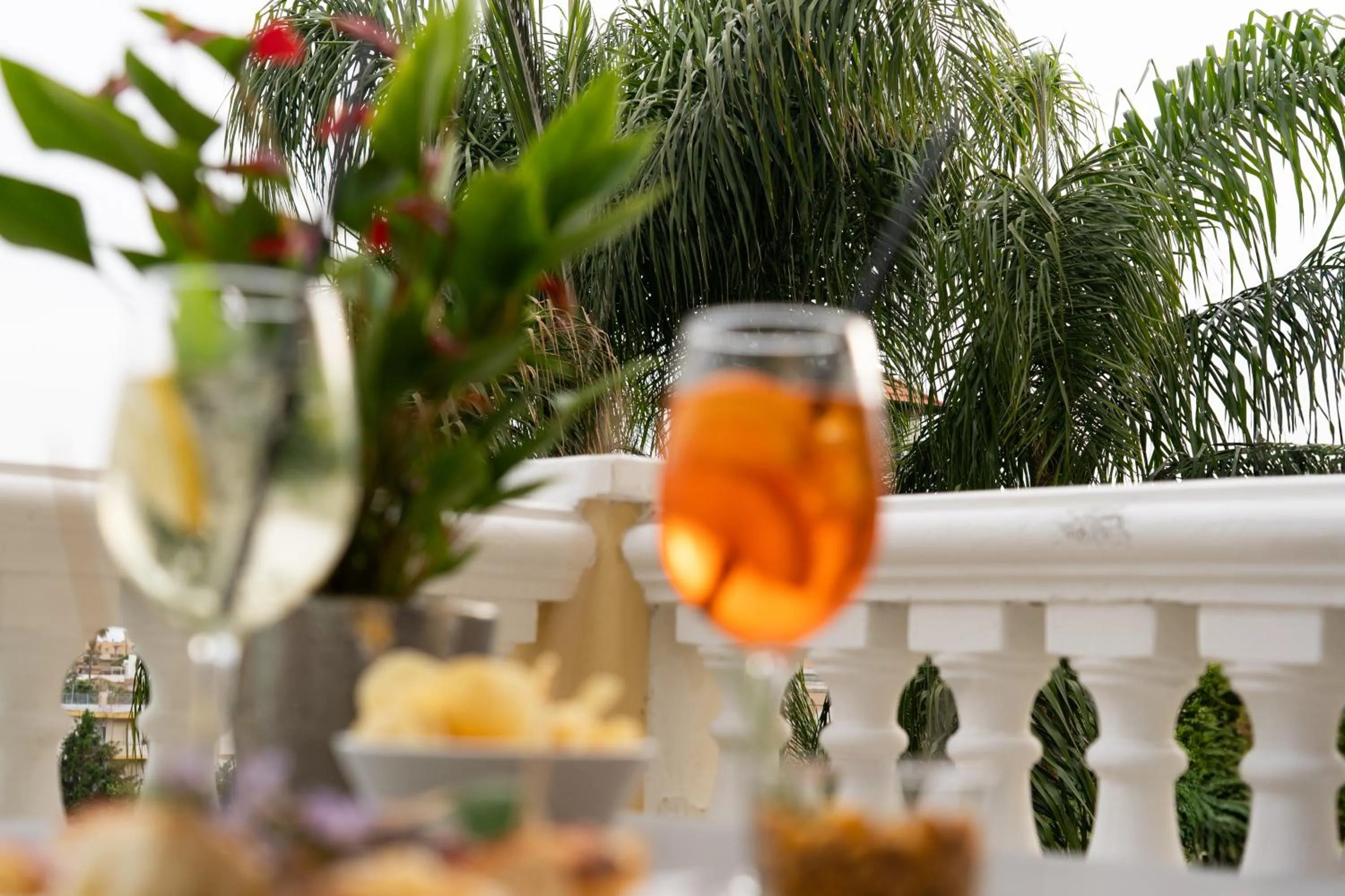 Balcony/Terrace in Hotel Villa Elisa & Spa