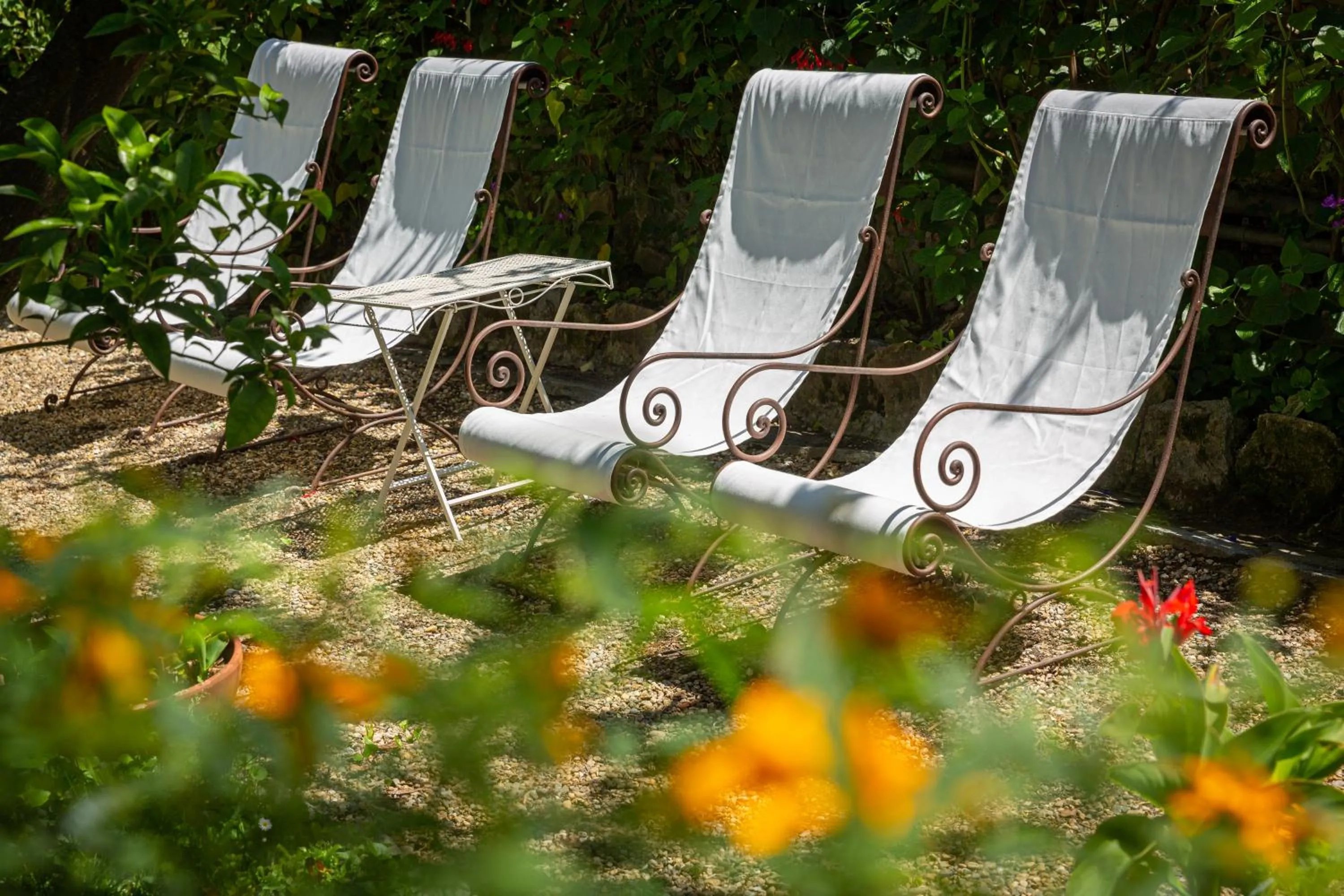 Garden in Hotel Villa Elisa & Spa